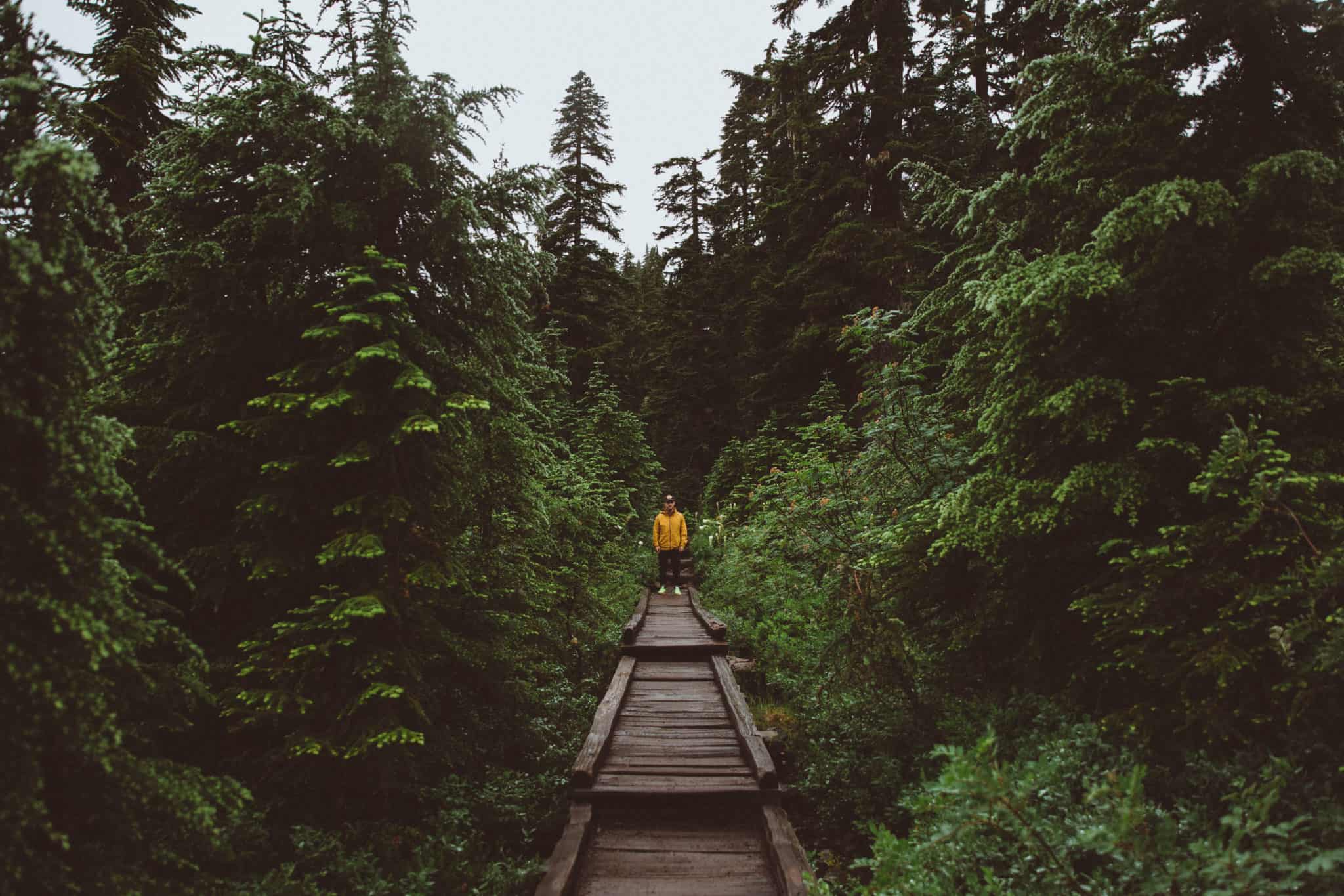 20 Jaw-Dropping Hikes In The Pacific Northwest To Inspire Your Wanderlust