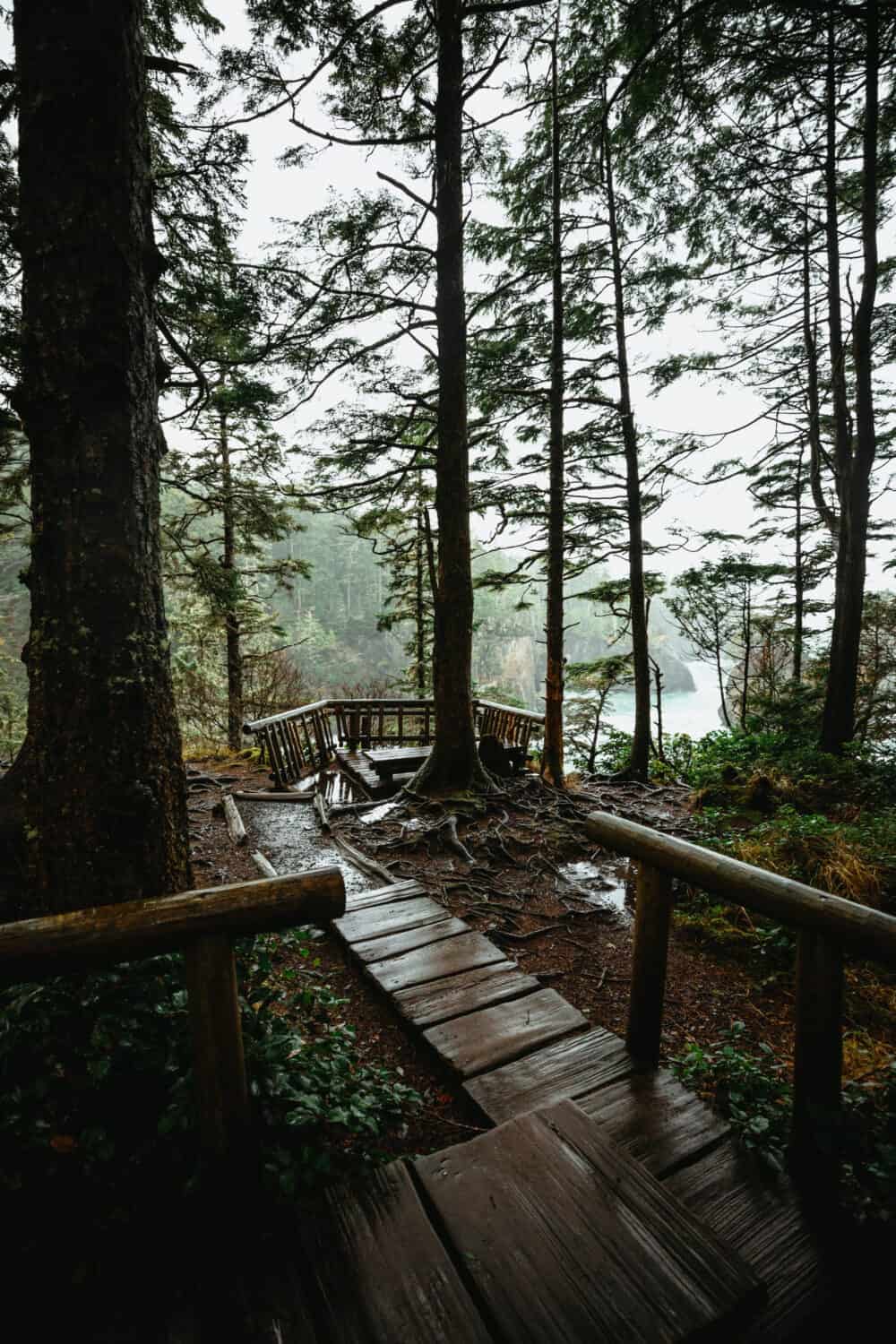 Boardwalks and viewpoint at Cape Flattery Trail - TheMandagies.com