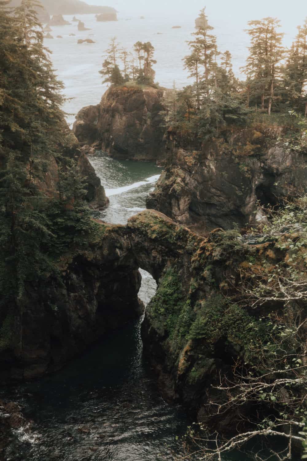 Oregon Coast Photography Locations - Samuel H Boardman Natural Scenic Corridor