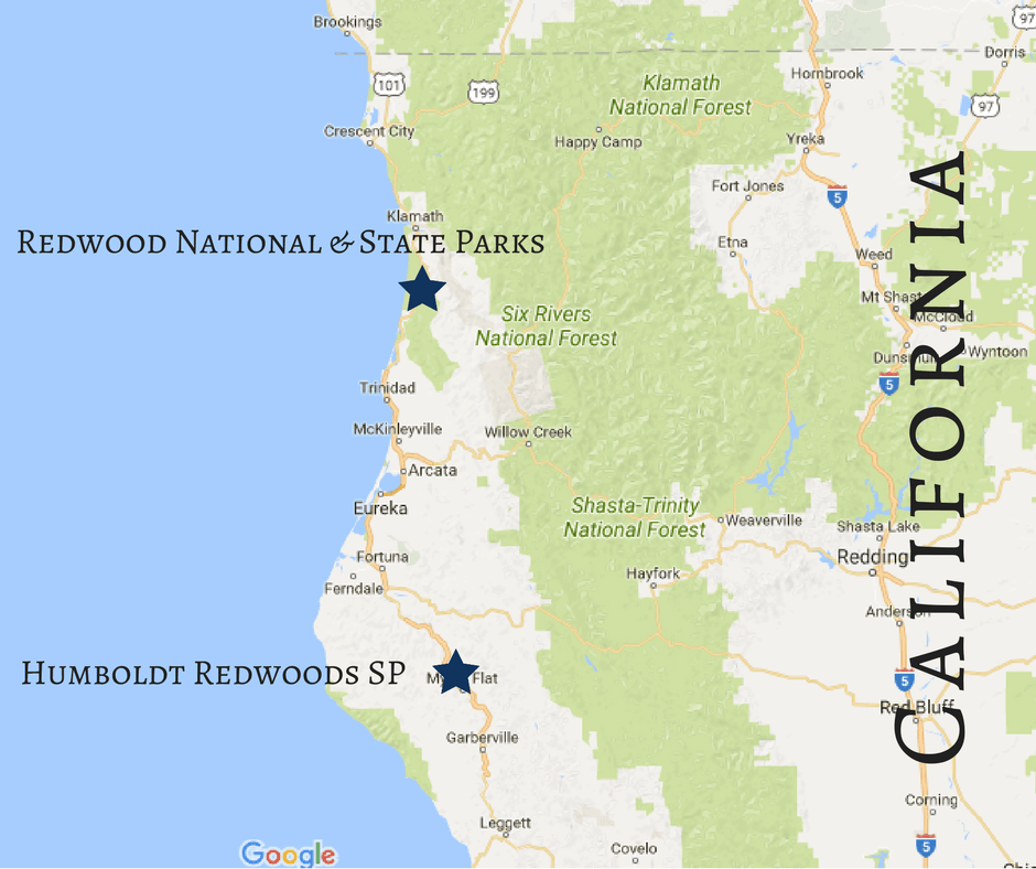 Free Printable Redwood National Park Map Free Printable Redwood National Park Map