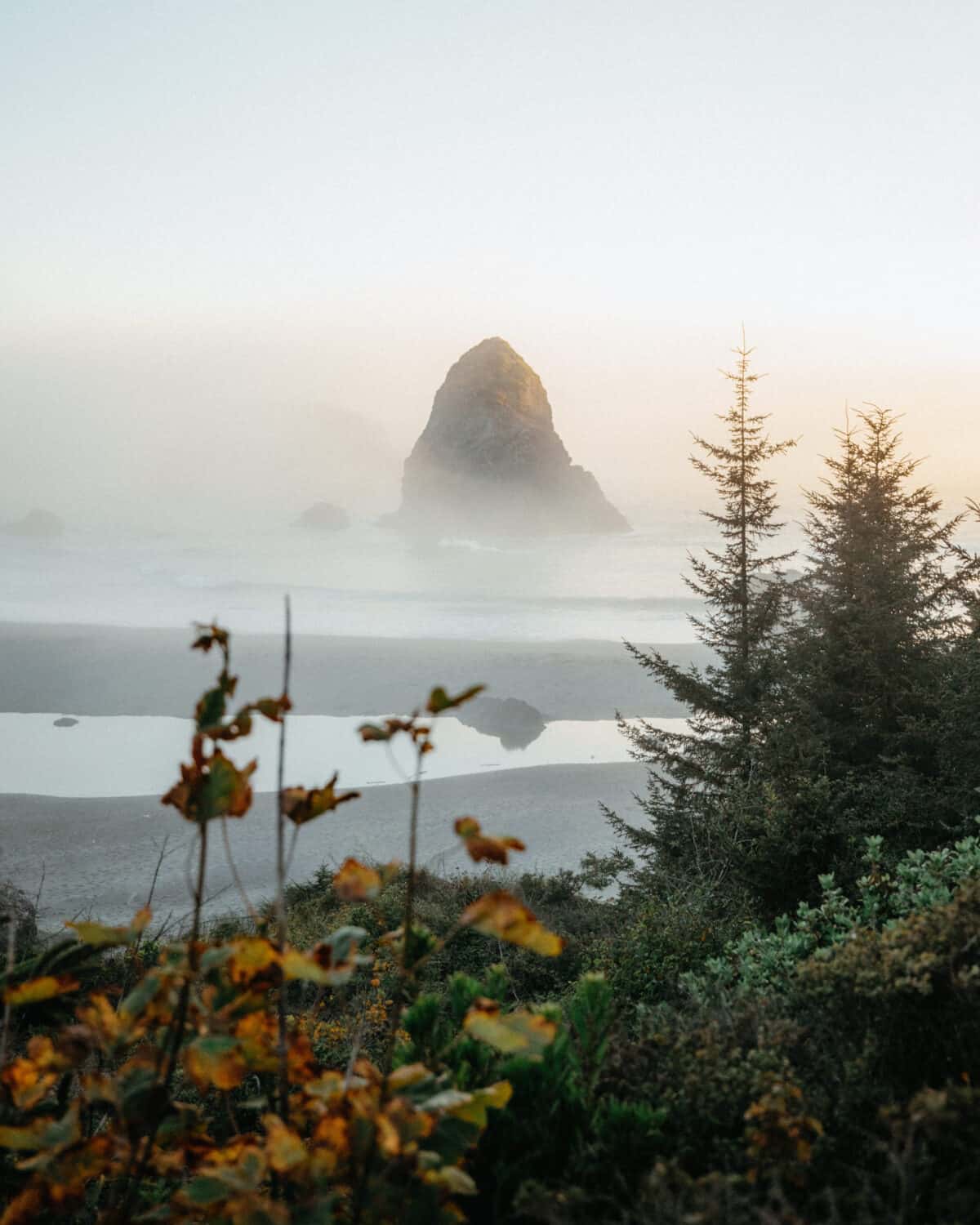 Whales Head Beach at Sunset on the Southern Oregon Coast