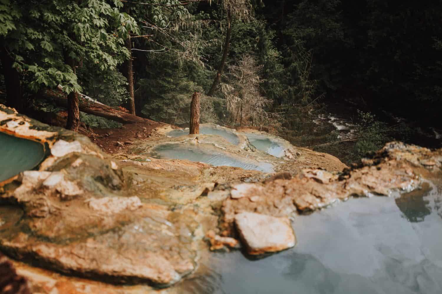 Umpqua Hot Springs in Oregon - view of the pools