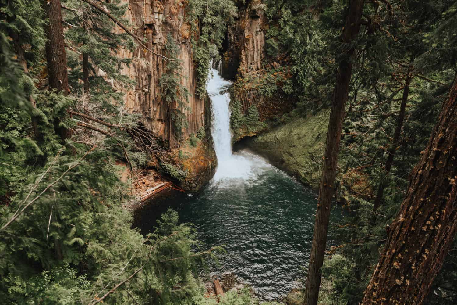 View of Toketee Falls in Umpqua National Forest