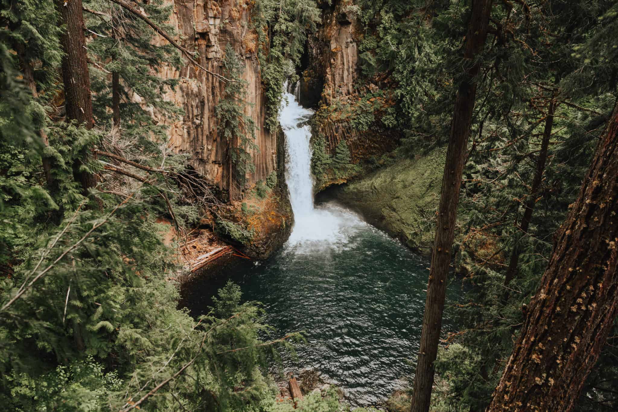 Las mejores excursiones del noroeste del Pacífico -. Toketee Falls