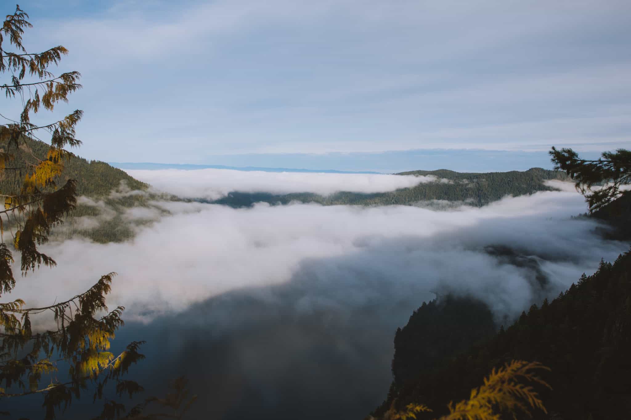 Mount Storm King foggy view from top