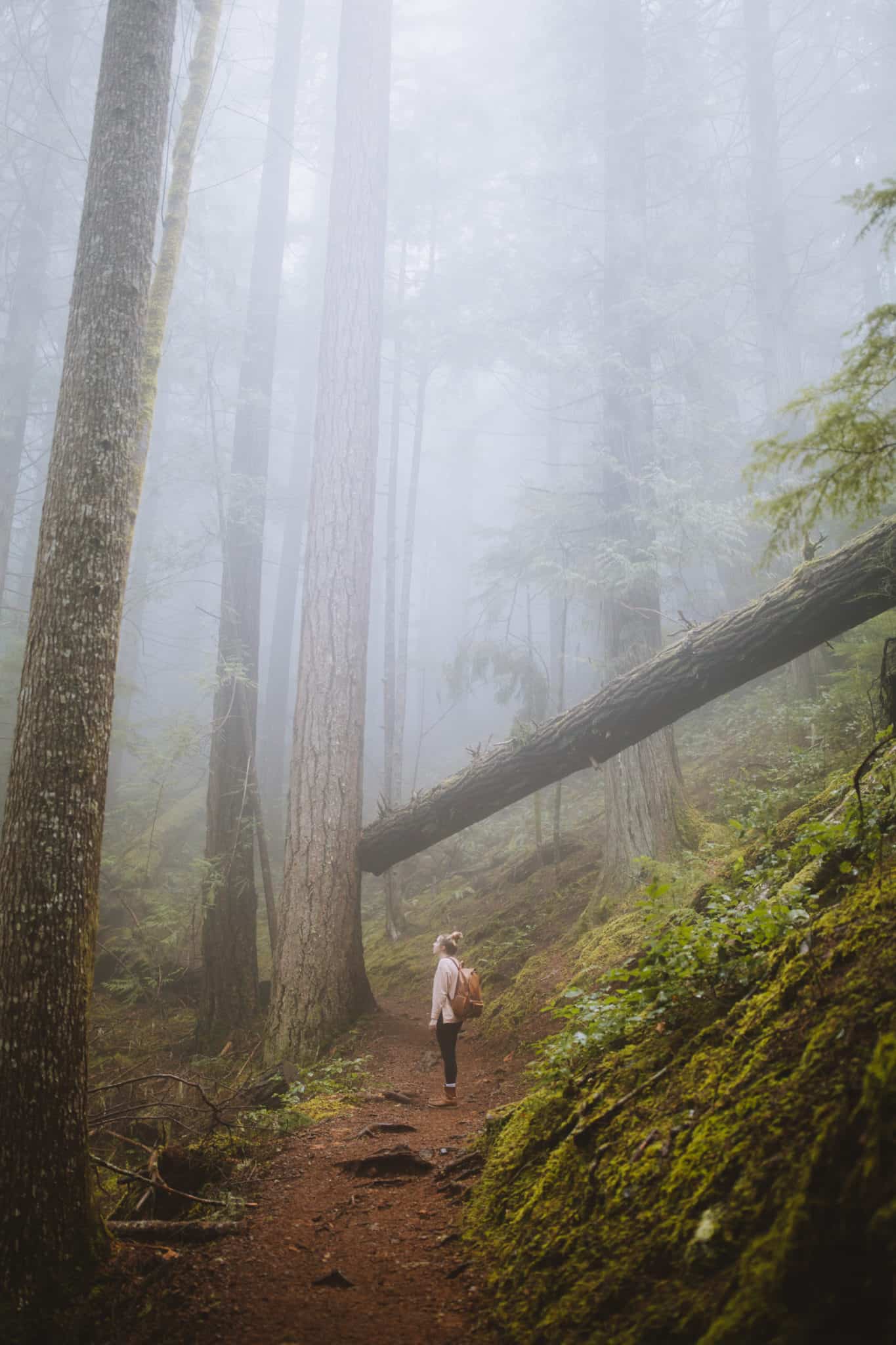 Mount Storm King girl on trail with tall trees