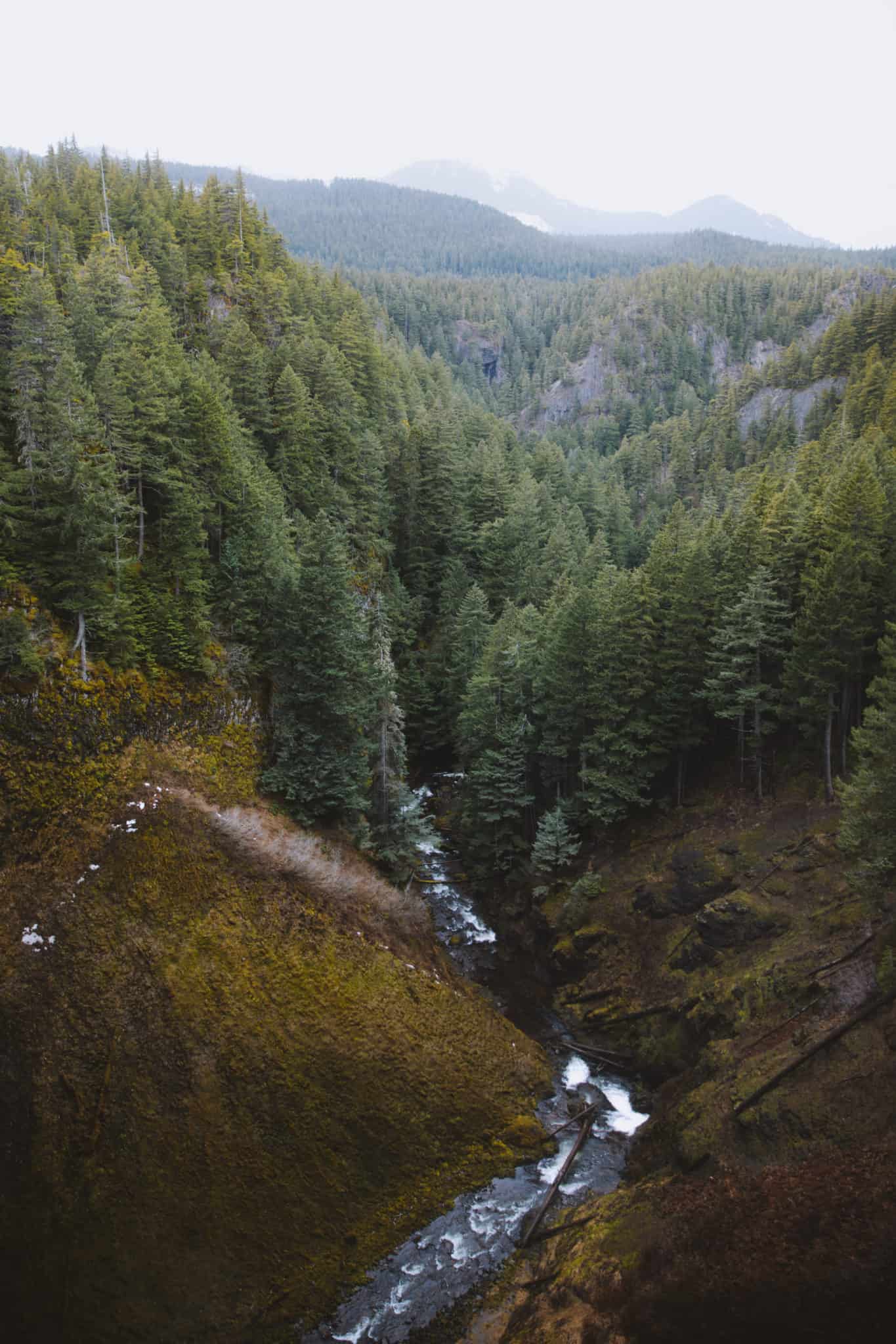 12 Laid-Back Things To Do In Eugene, Oregon - Salt Creek Falls
