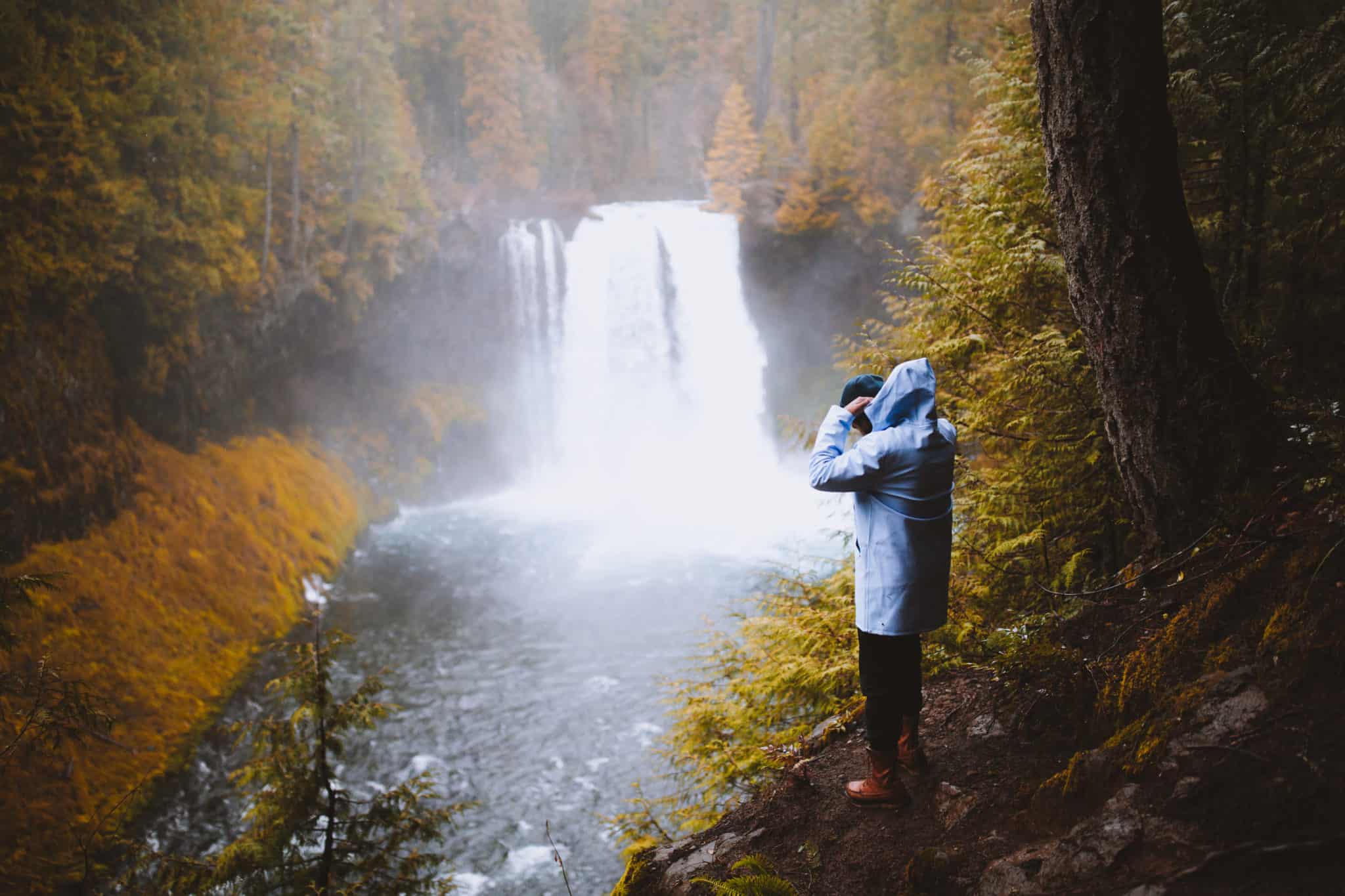 Waterfalls in Oregon - Koosah Falls