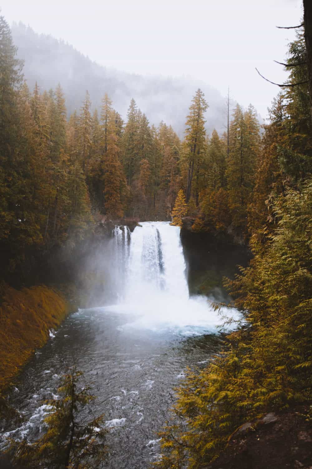 Koosah Falls, Oregon on January