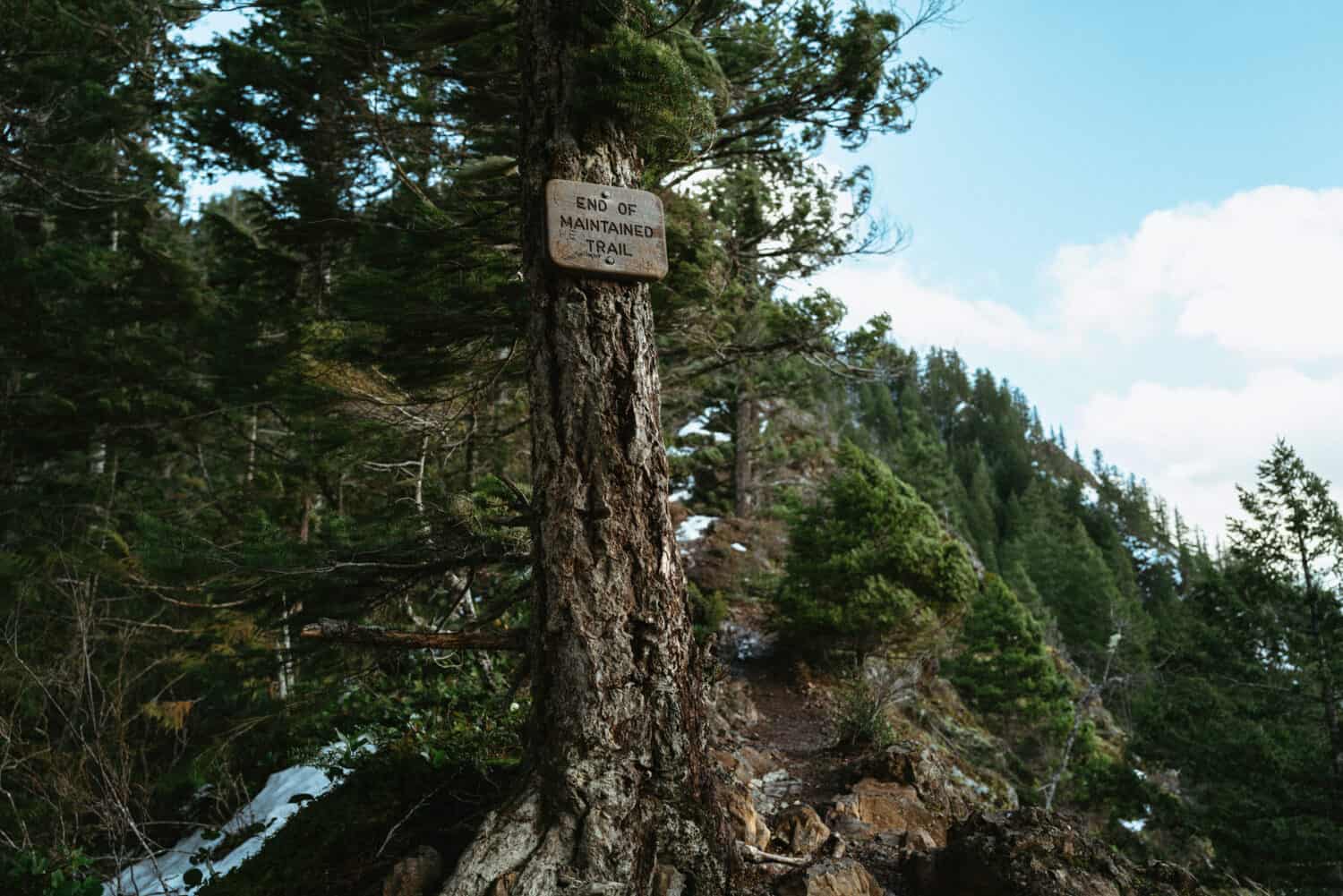 Mount Storm King Trail Marker