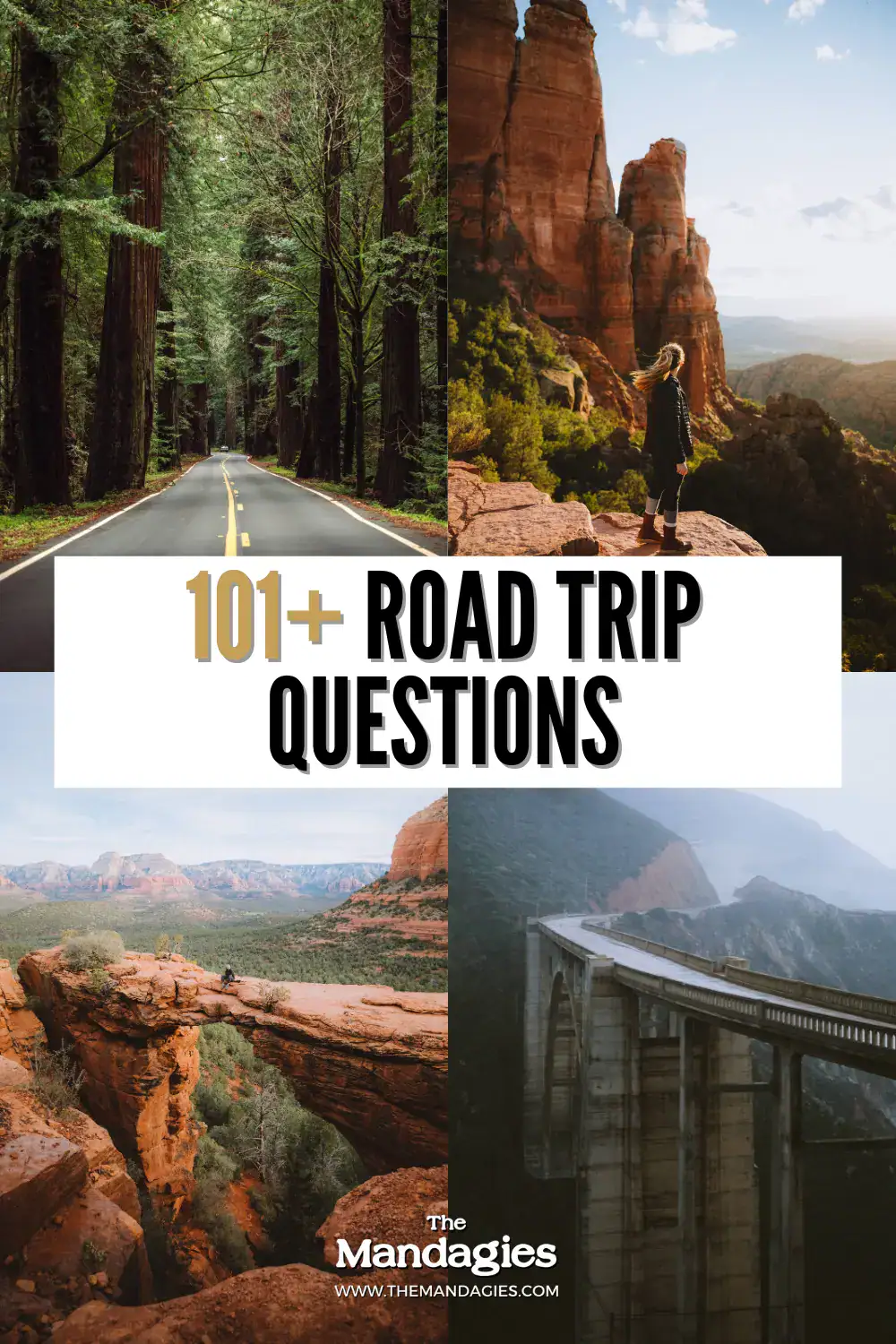Pinterest Pin - 101+ Road Trip Questions - The Mandagies