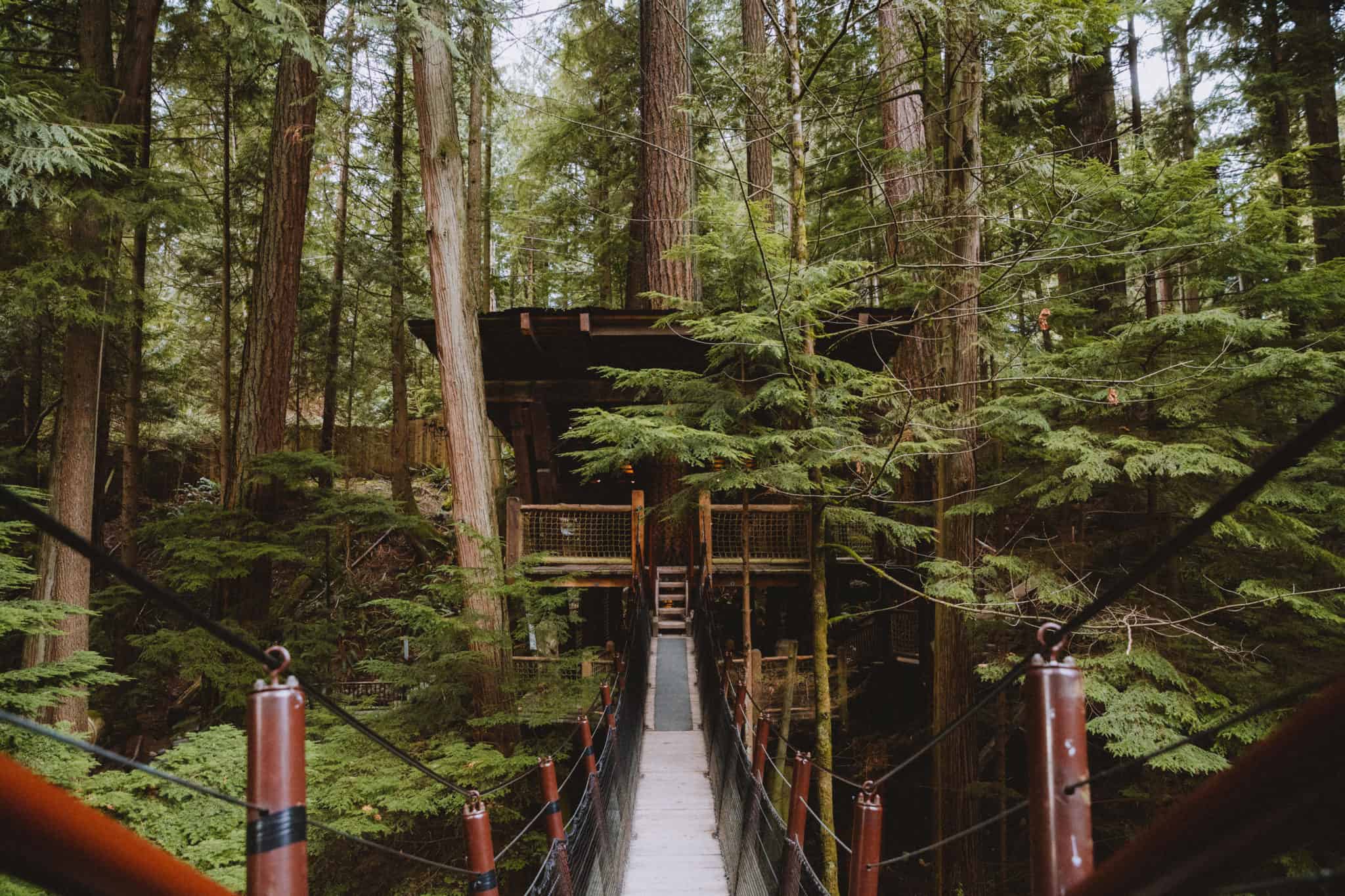 Tree house at Capilano Suspension Bridge Park