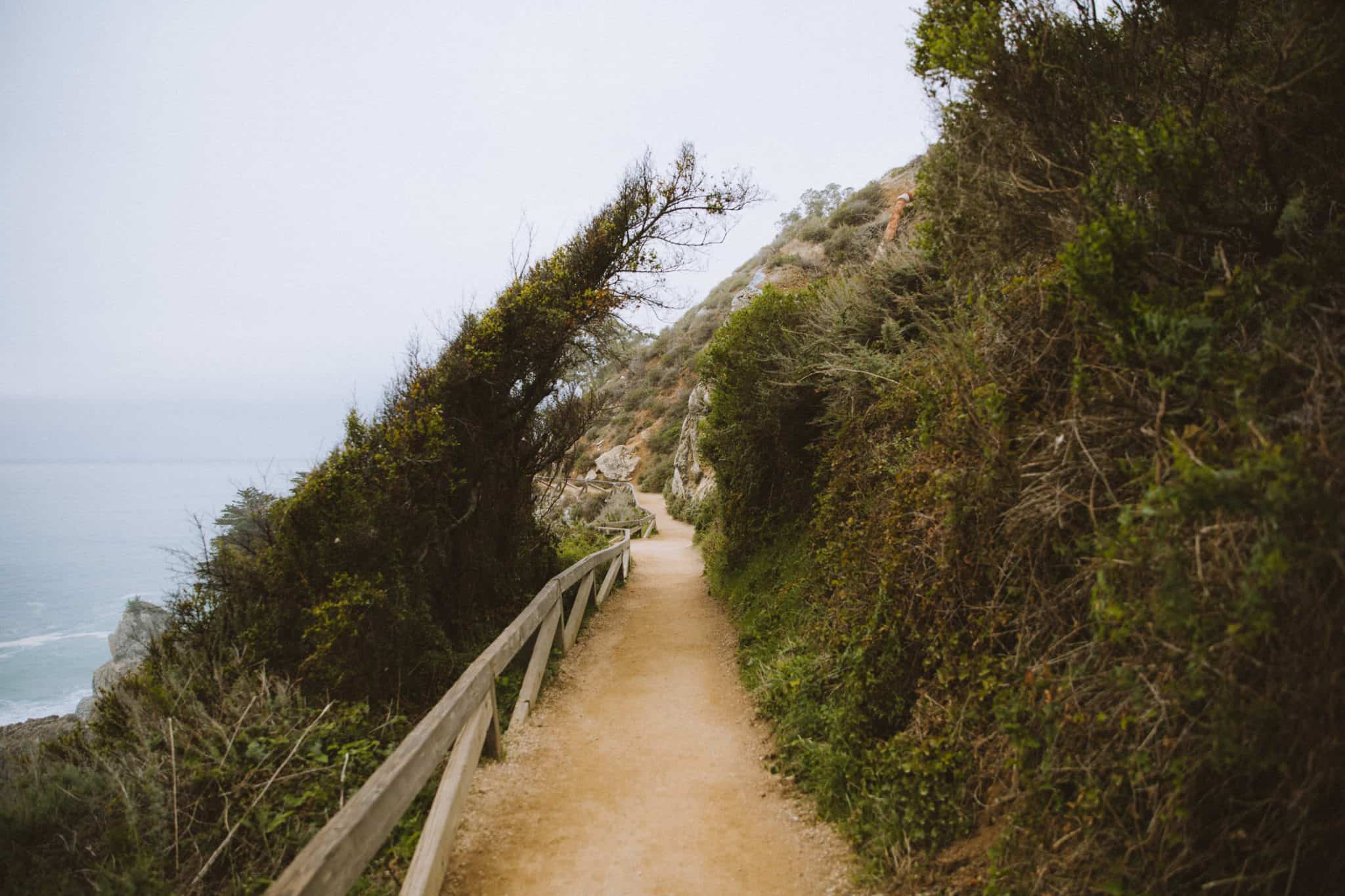 trail at McWay Falls Big Sur