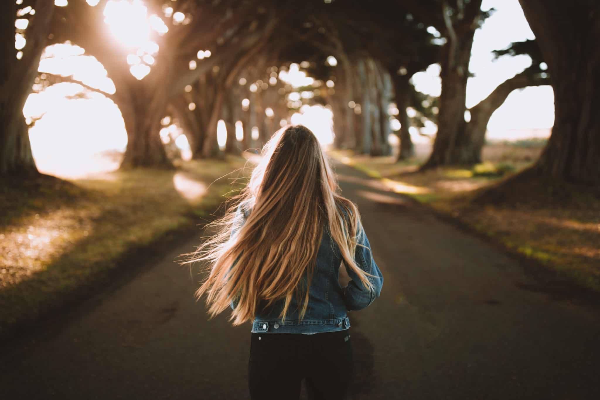 Cypress Tree Tunnel - TheMandagies - Things To Do In San Francisco Post