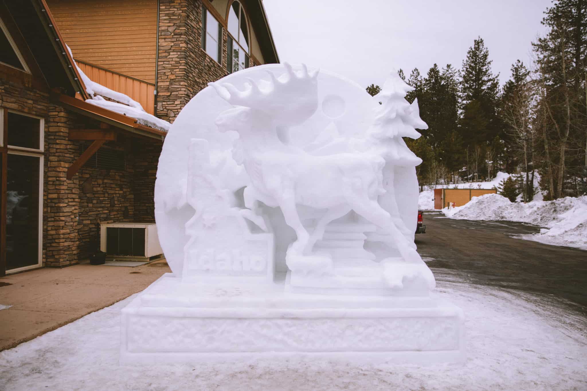 Ice Sculptures - The Mandagies Visit McCall Post