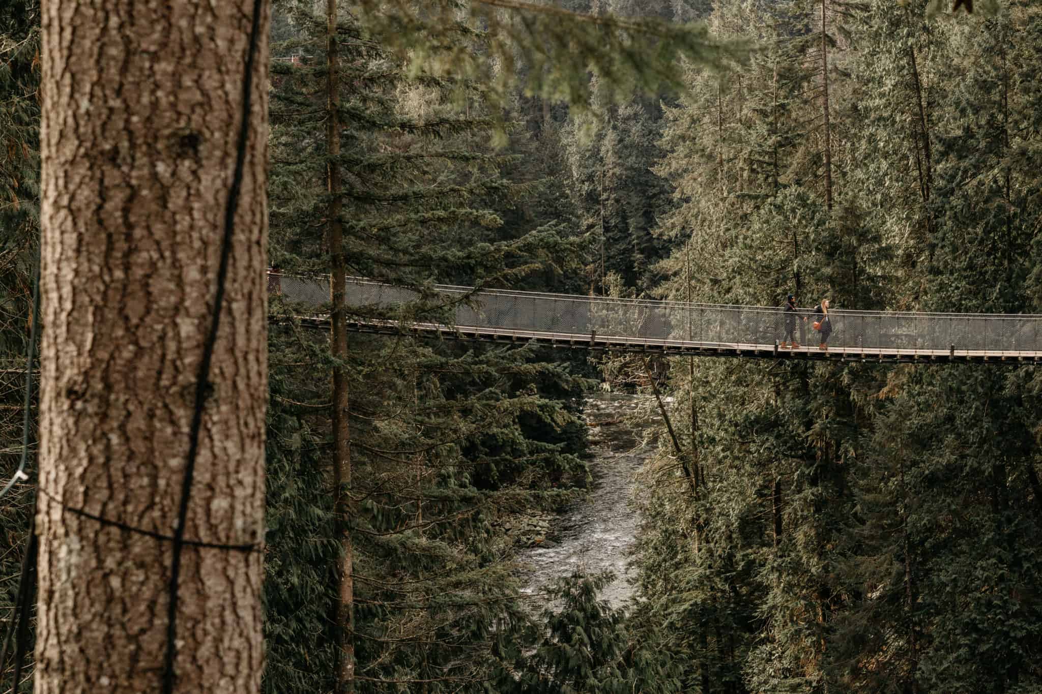 Capilano Suspension Bridge