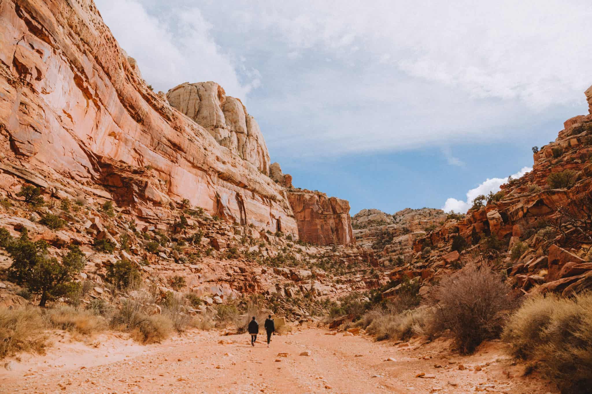Capitol Reef National Park - Grand Wash Hike