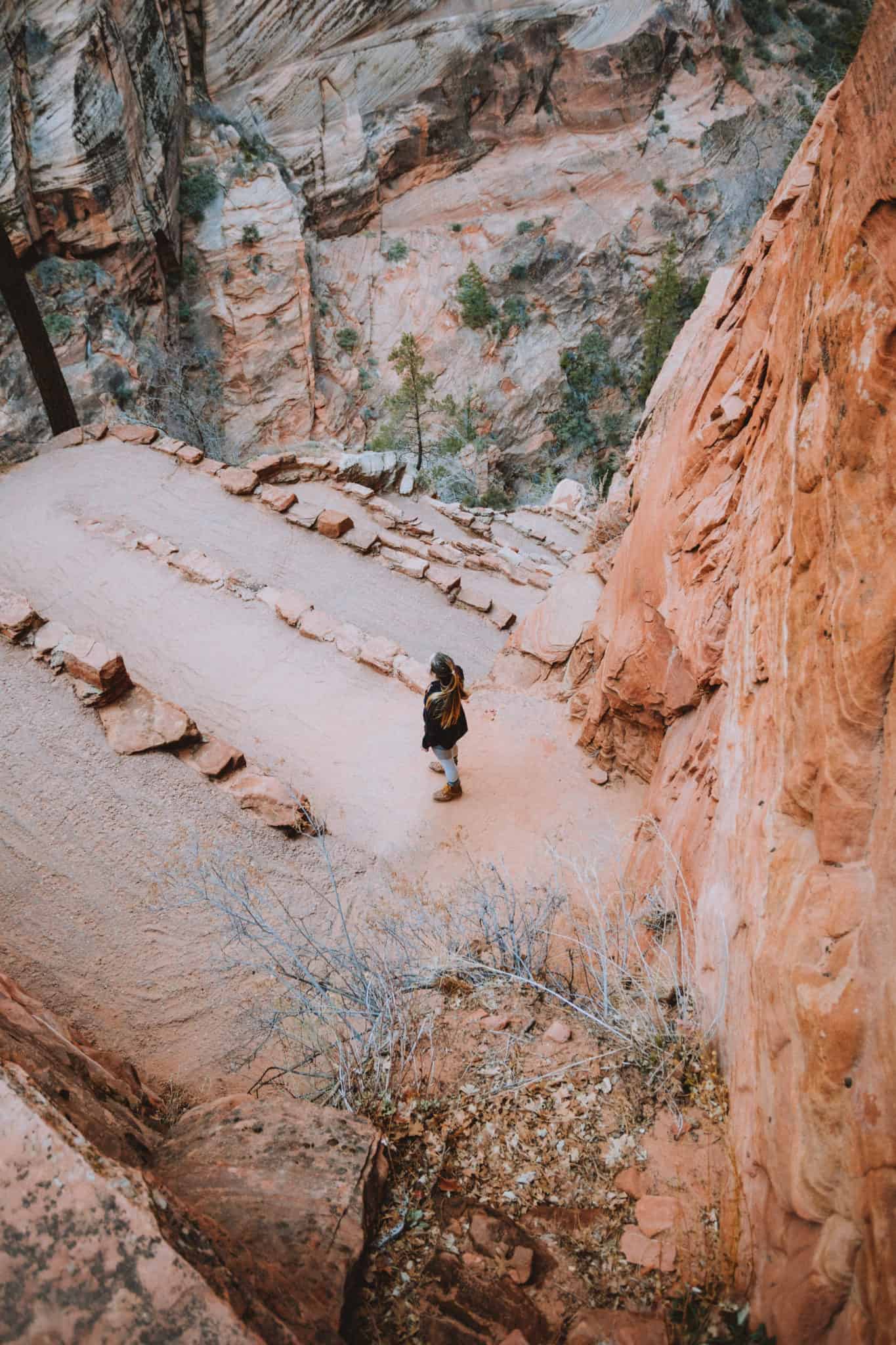 Angels Landing Watler's Wiggles- The Mandagies