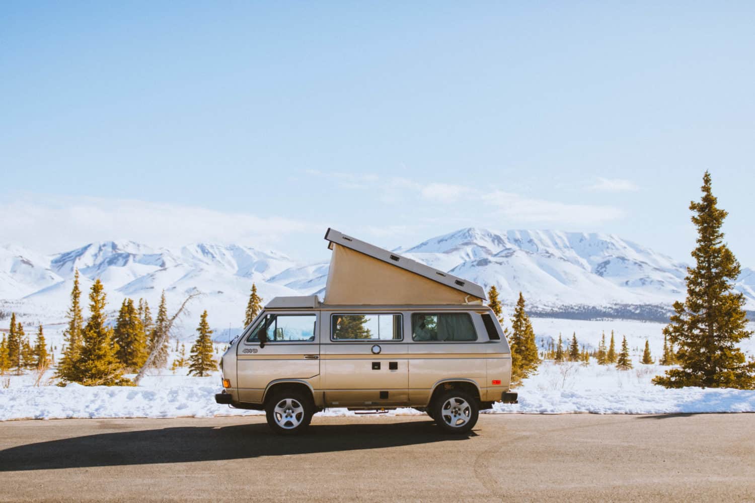 VW Westfalia van camping in Denali National Park, Alaska