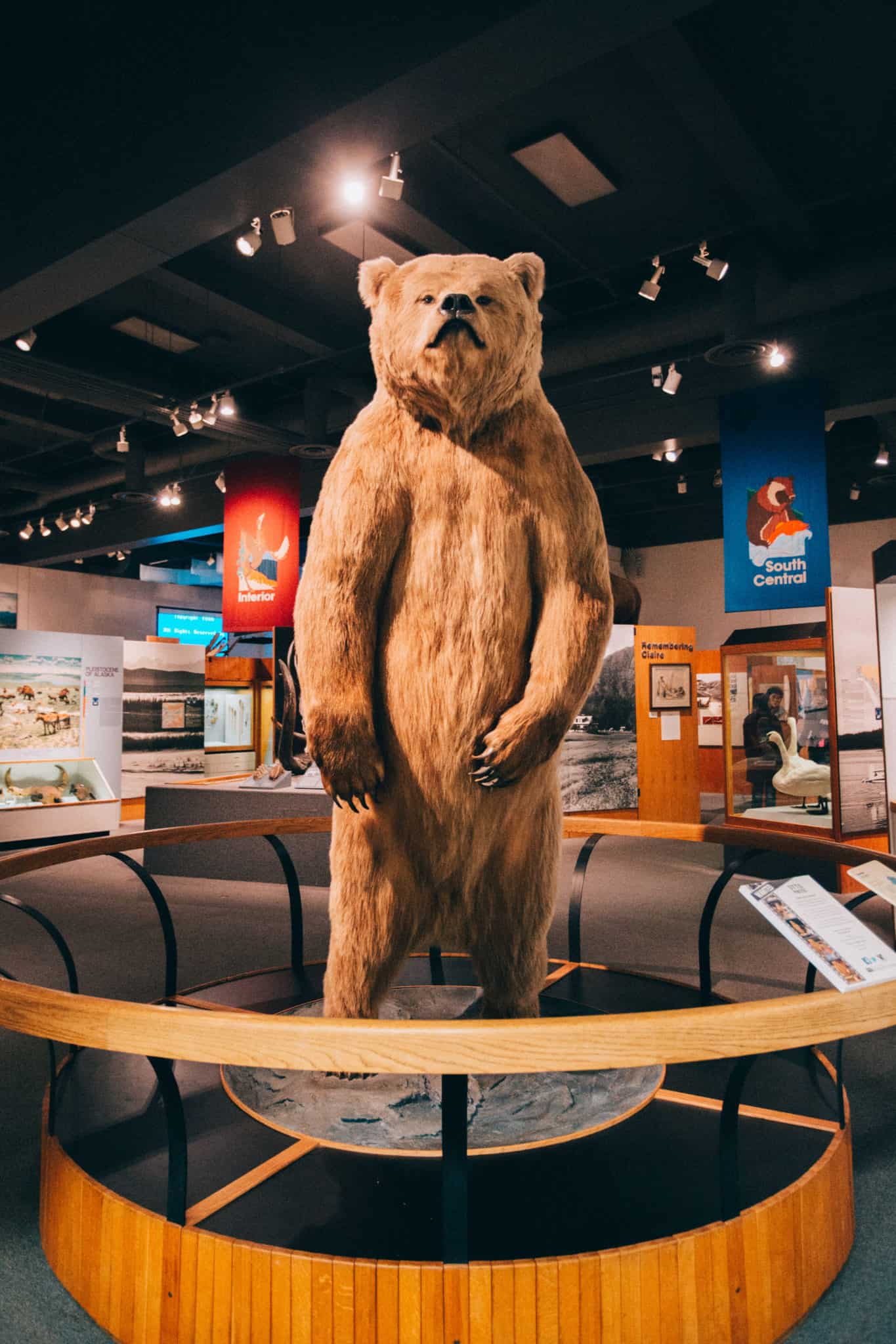 Things To Do In Fairbanks - Museum of The North