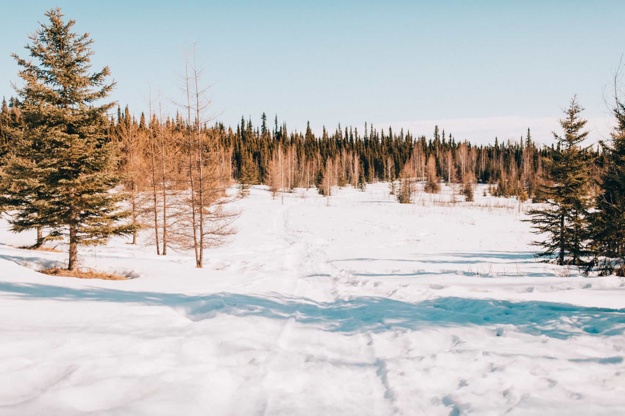 Trails behind Northern Sky Lodge