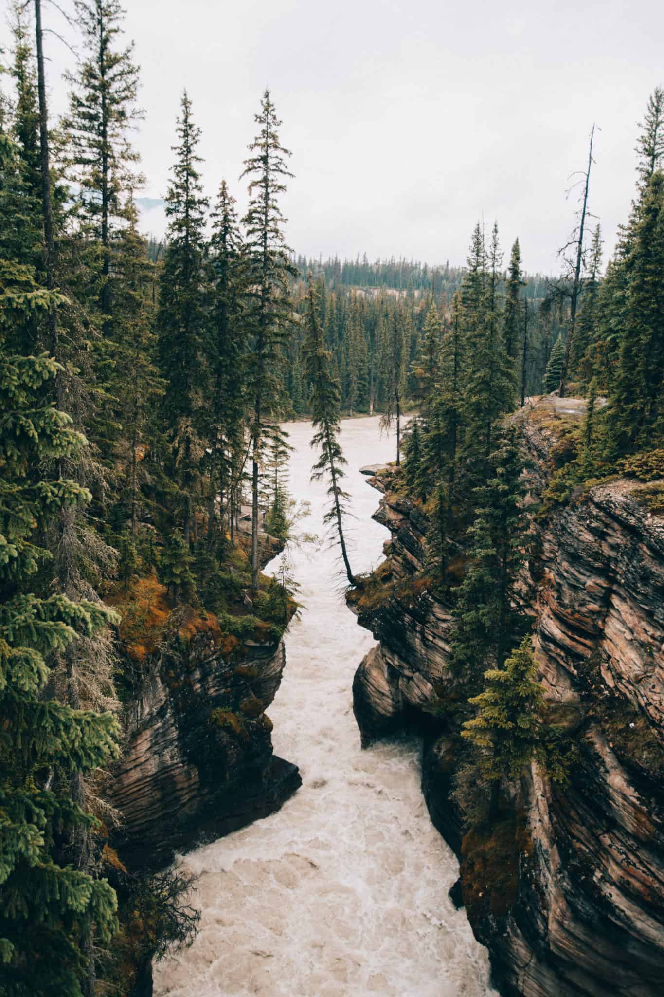 Photo Spots In Jasper National Park - Athabasca Falls