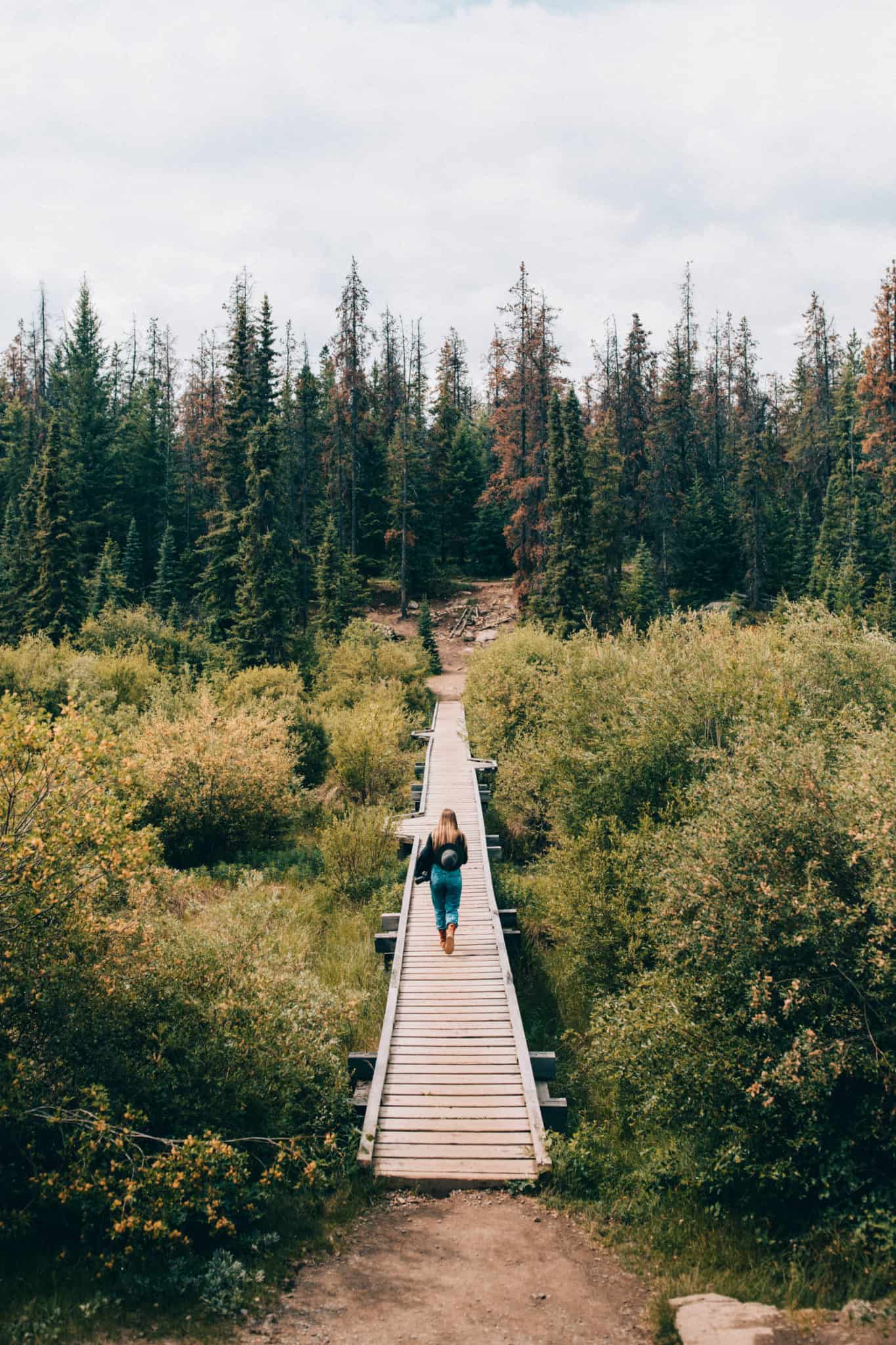 Photo Spots In Jasper National Park - Valley of Five Lakes