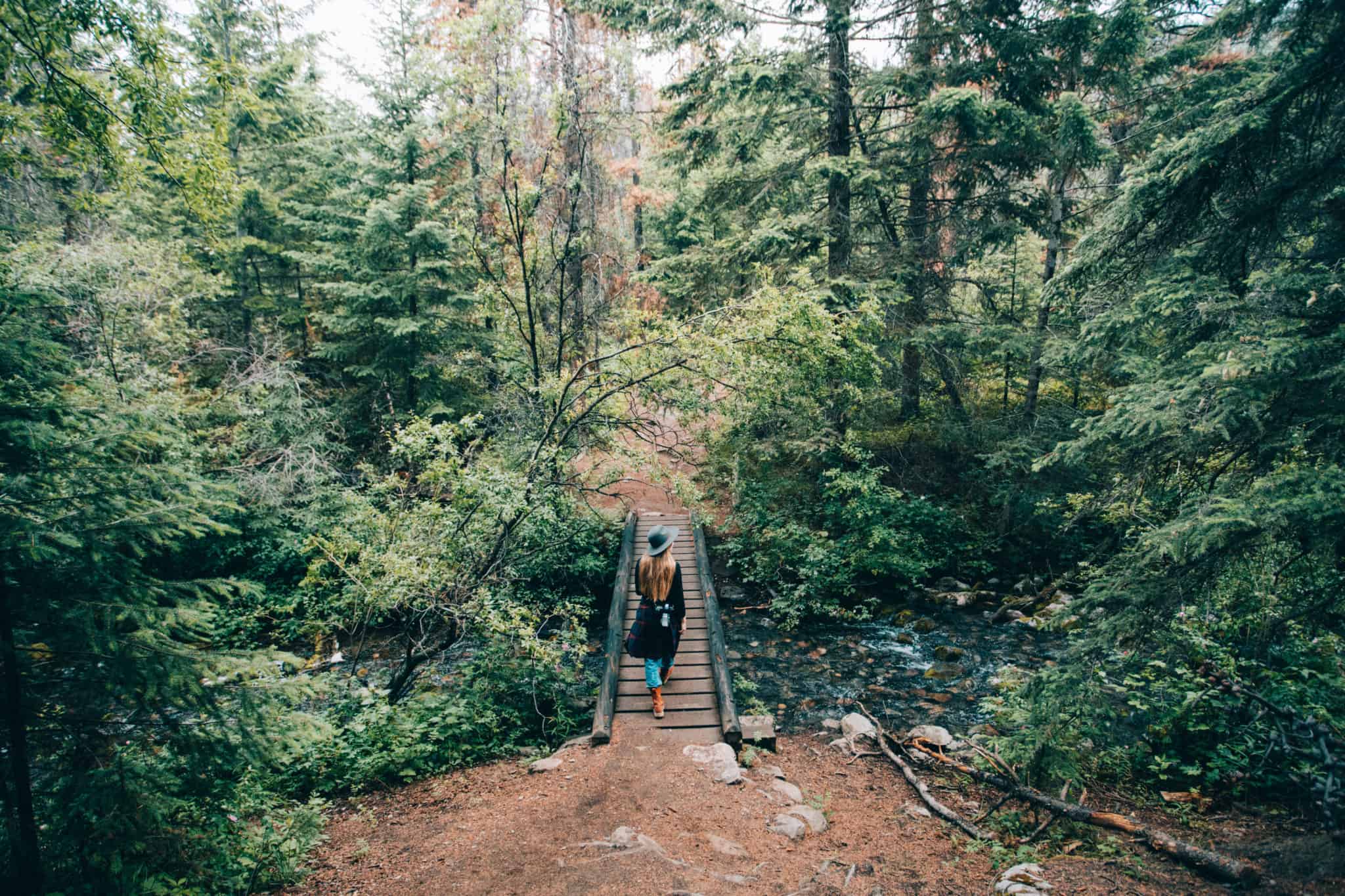 Easy Hikes In Jasper National Park - Valley Of Five Lakes