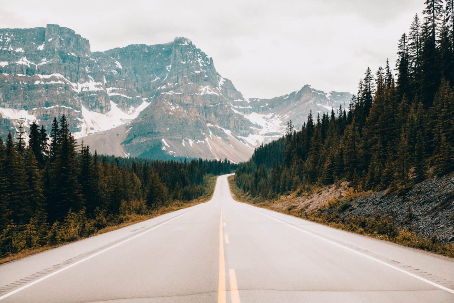 Drive the Icefields Parkway - TheMandagies.om