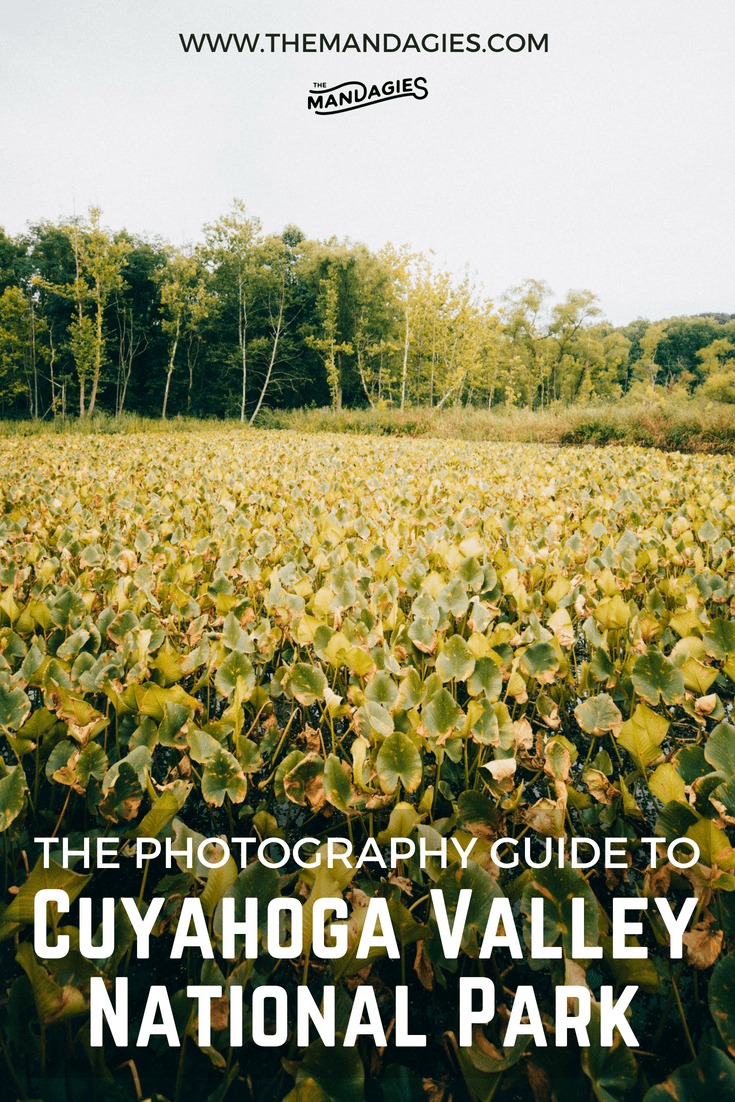 Discover the ultimate photography guide to Cuyahoga Valley National Park! We're sharing the most beautiful waterfalls, trails, overlooks and more in Ohio's gem, just south of Cleveland! #ohio #cleveland #cuyahogavalley #cuyahogavalleynationalpark #photography #waterfalls #sandstone #landscape #trails #hiking #history #canal #coveredbridge #travel