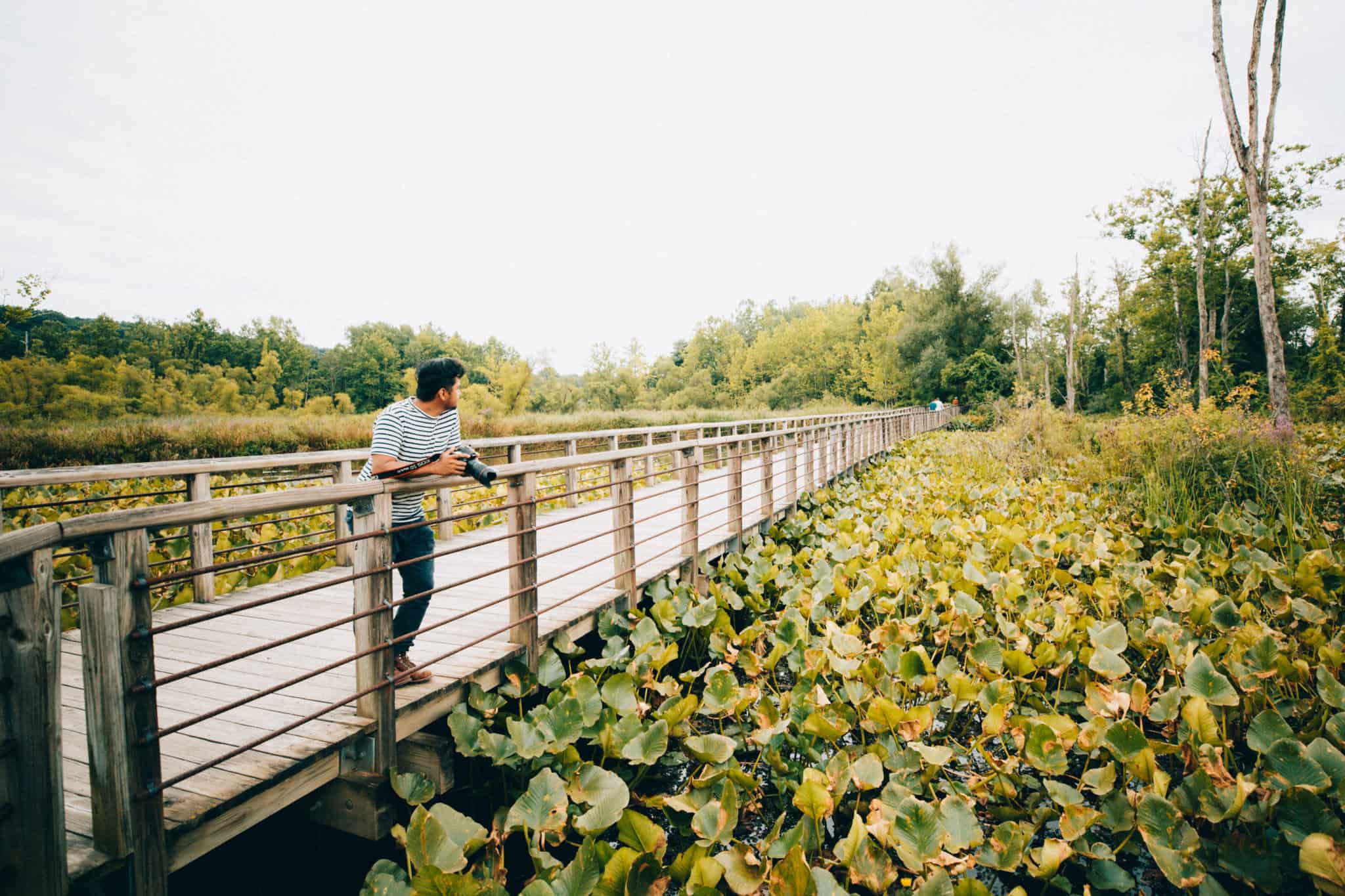 Beaver Marsh - Cuyahoga Valley National Park - TheMandagies.com