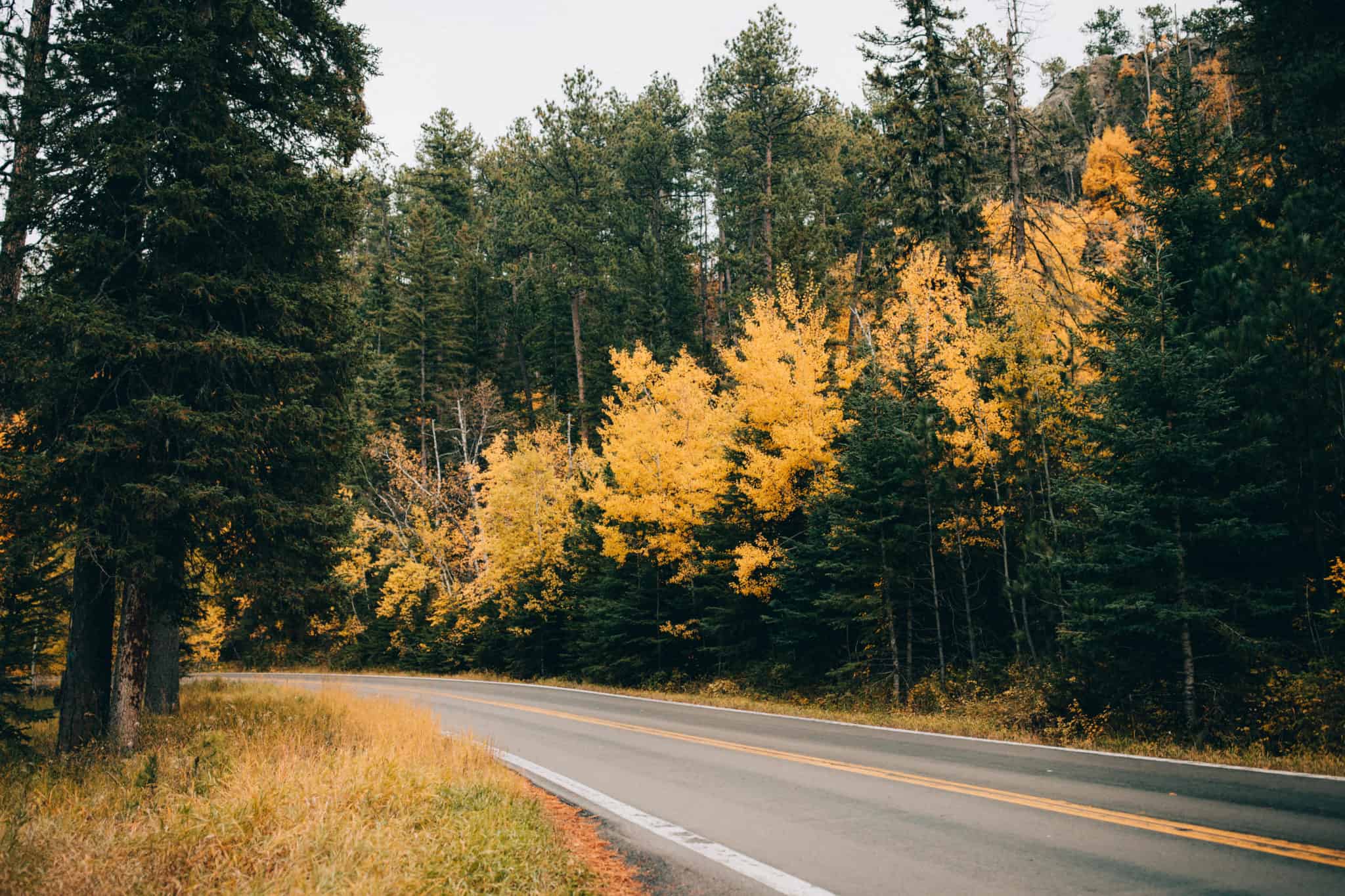 autumn in South Dakota, Fall Foliage
