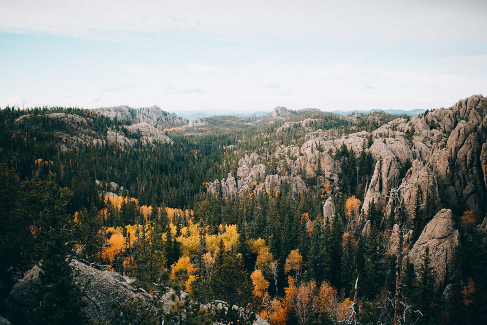 View of Custer State Park, South Dakota