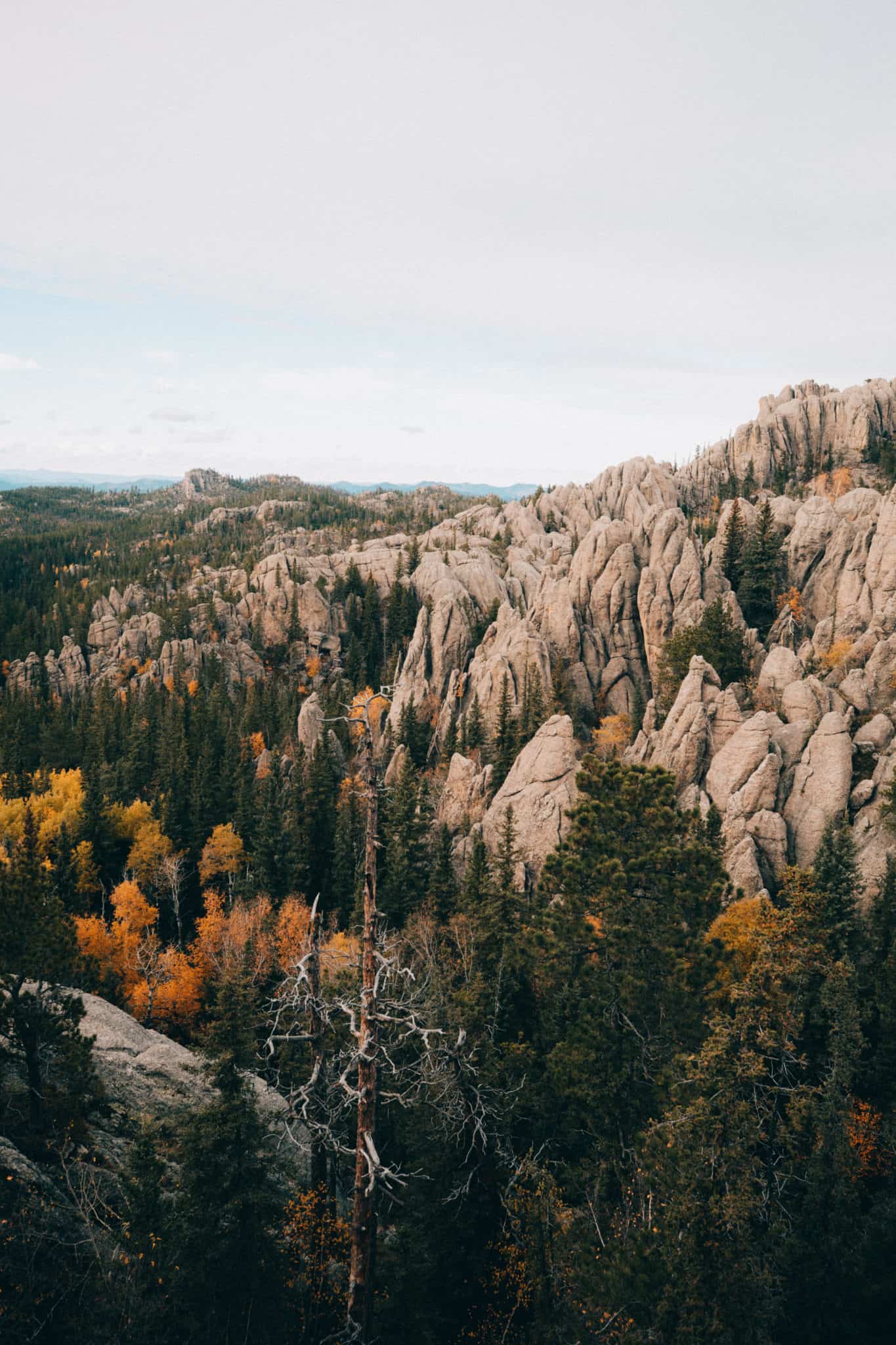 Granite views from Black Elk Peak, South Dakota