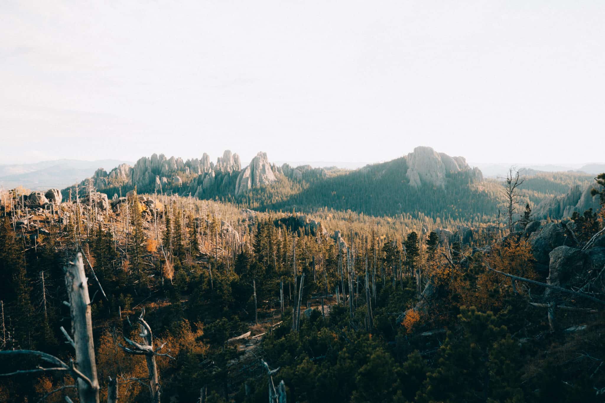 View from the Black Elk Peak Trail, Cathedral Spires