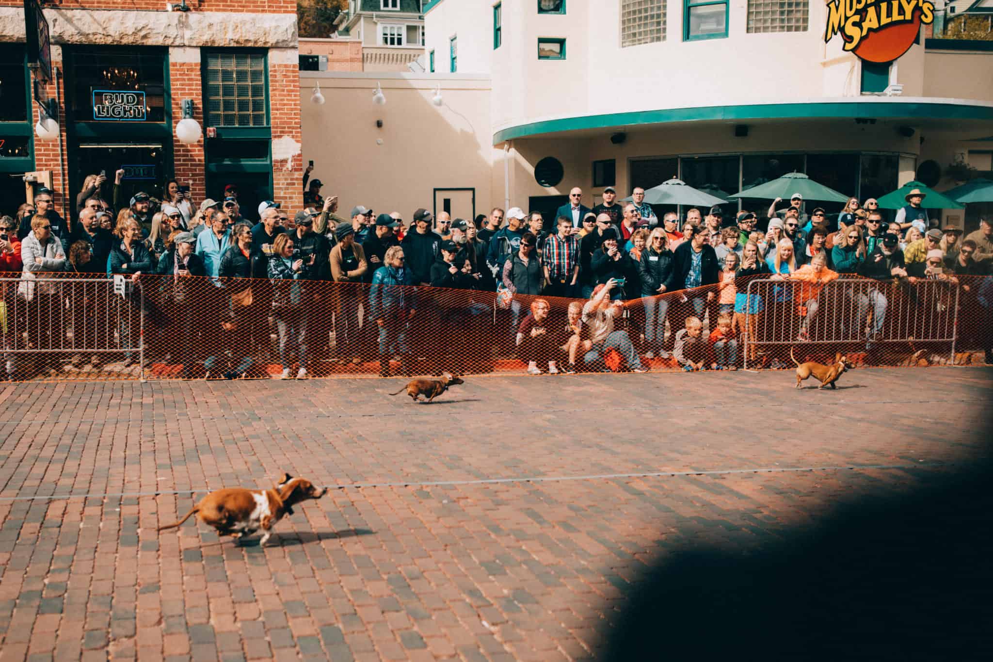 weiner dog raves, Oktoberfest in Deadwood, South Dakota