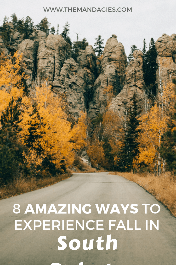 Looking for the best places to experience fall foliage, autumn drives, and changing trees? Come and experience autumn in South Dakota - an unconventional but completely amazing location for fall. We're sharing 8 must-do activities! #southdakota #blackhills #rapidcity #mountrushmore #windcavenationalpark #badlandsnationalpark #Outdoors #Fall #scenicdrive #Travel #Hiking