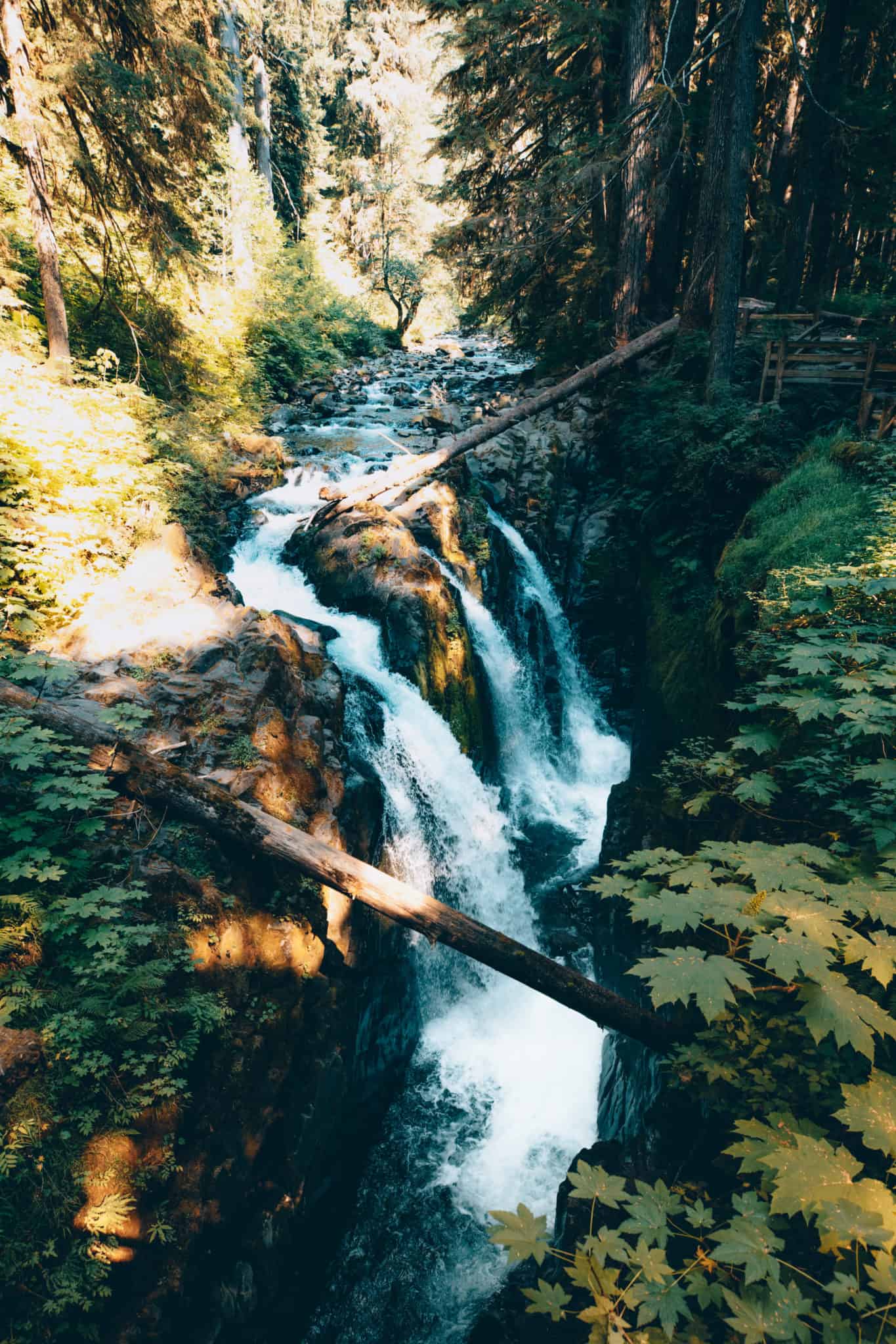 Olympic Peninsula Road Trip - Sol Duc Falls