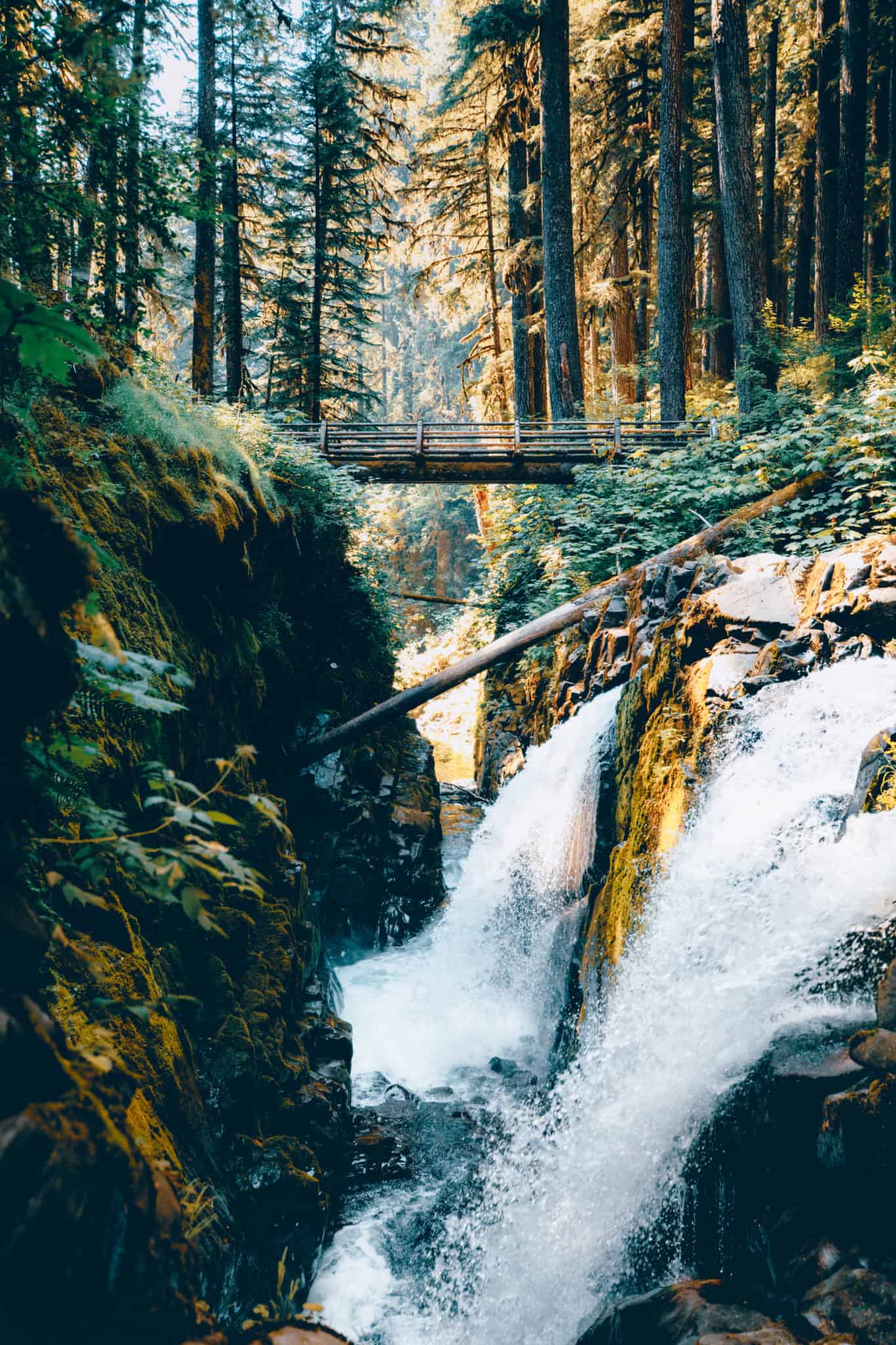 Olympic Peninsula Road Trip - Sol Duc Falls