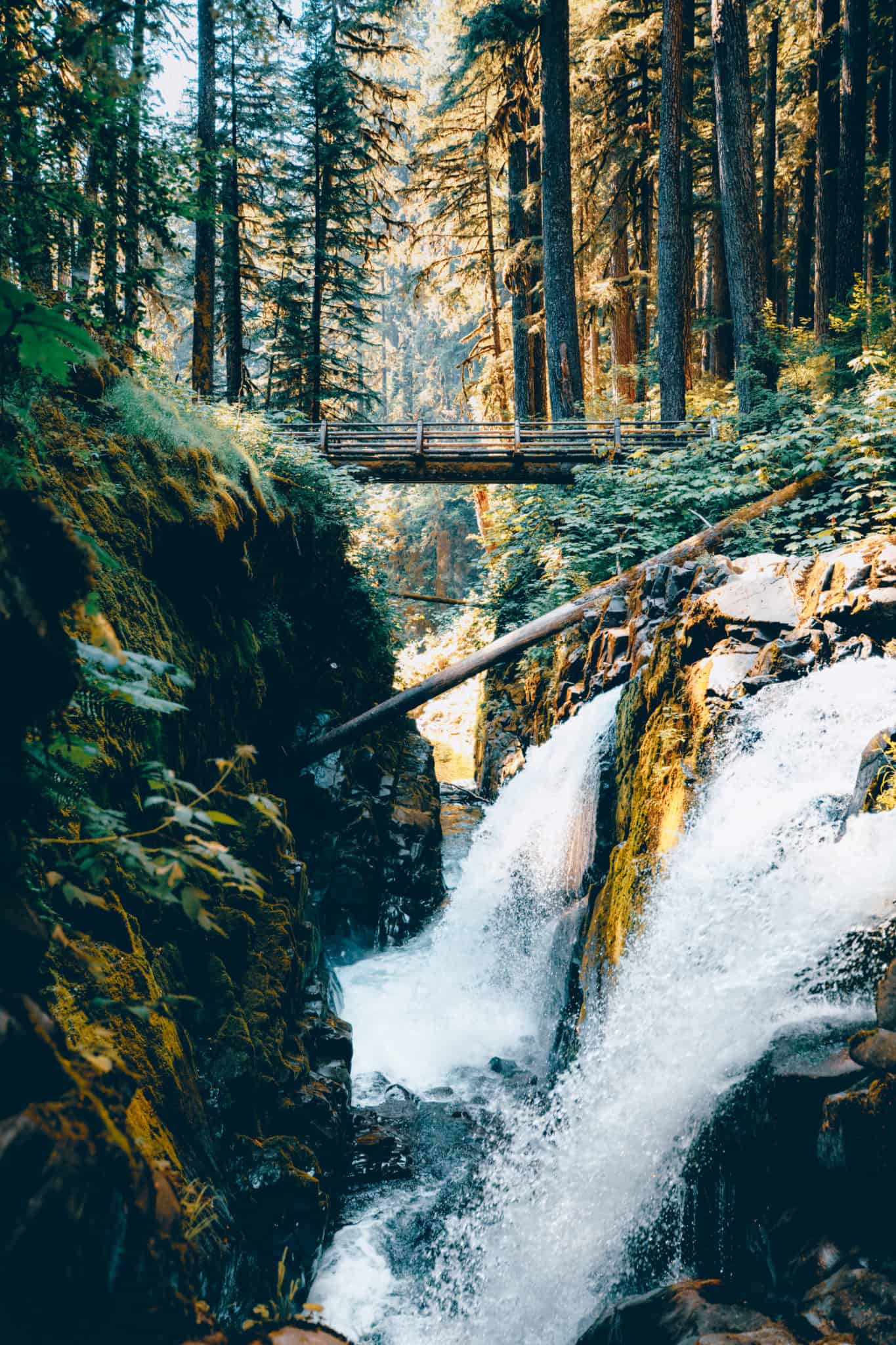 Olympic Peninsula Road Trip - Sol Duc Falls