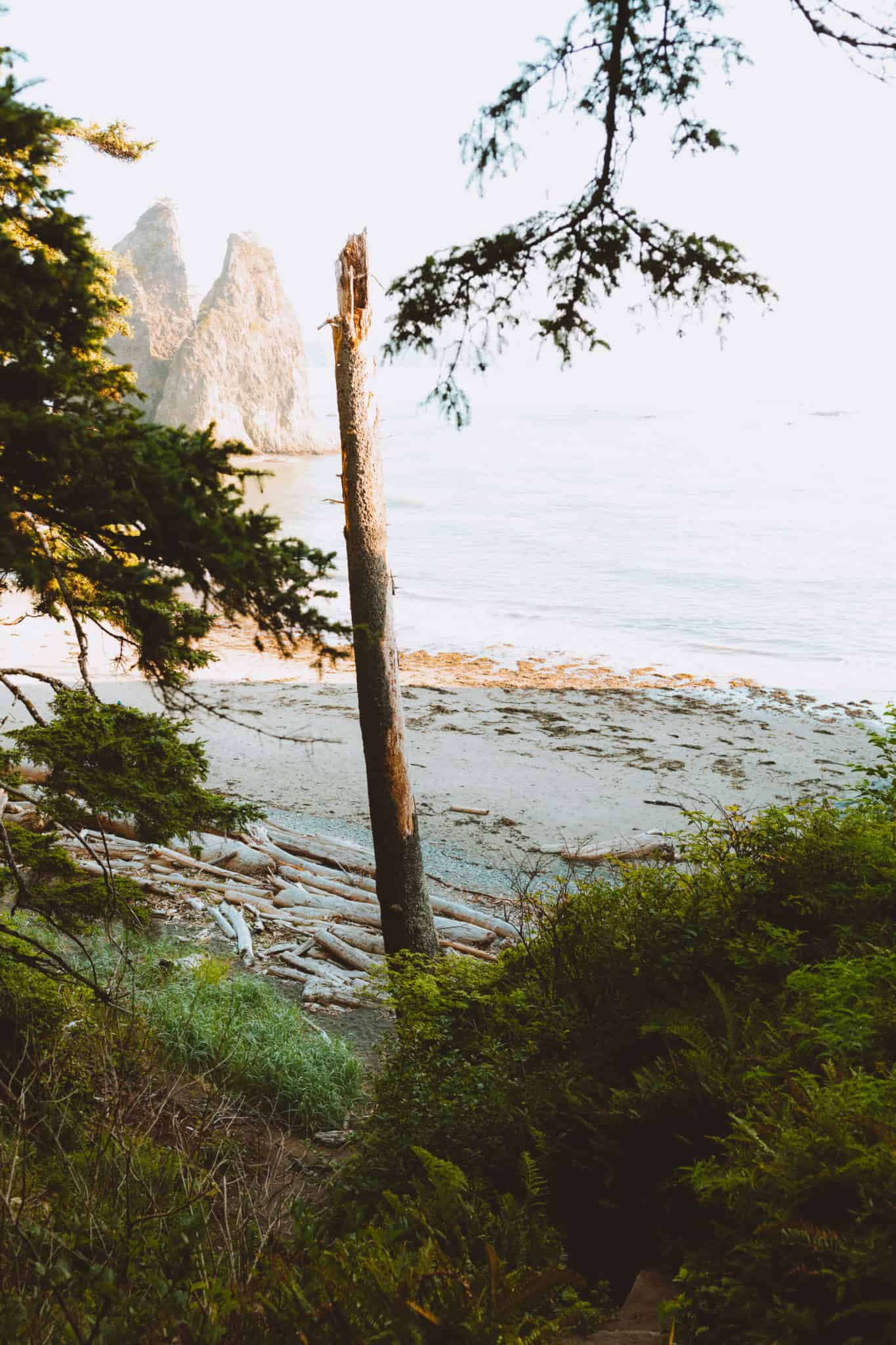 Hole In The Wall Viewpoint, Rialto Beach, Olympic Peninsula