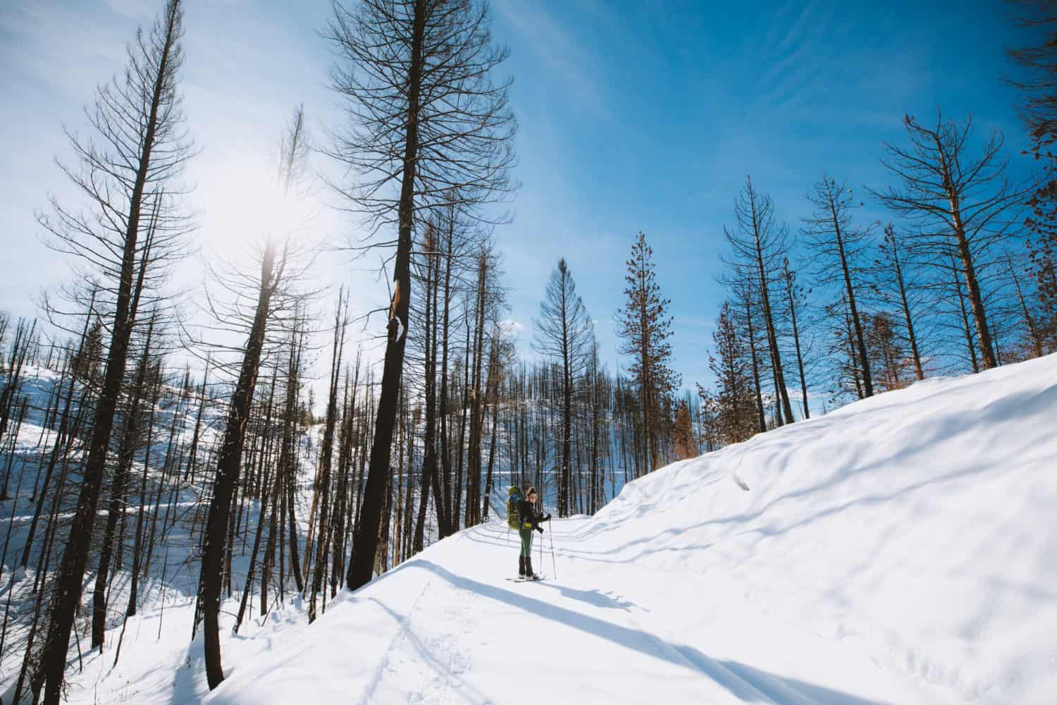 Hiking Skyline Trail, Idaho City Park N Ski Trails (TheMandagies.com)