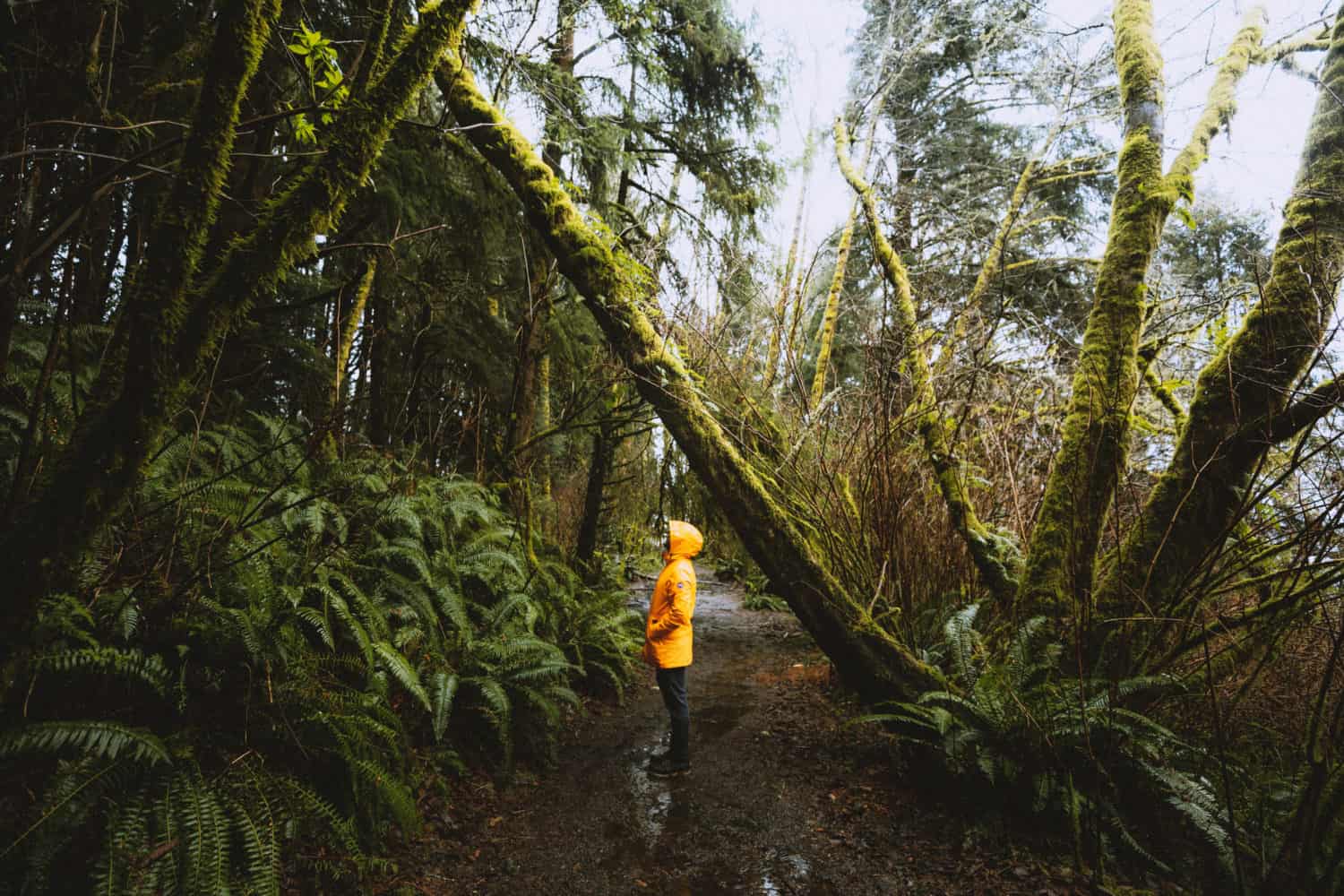 Rain Coats on the Oregon Coast