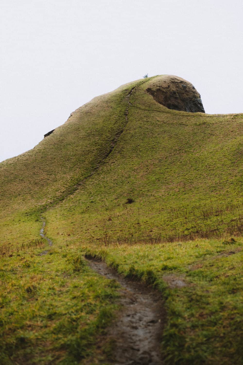 Close view of God's Thumb Trail, Lincoln City