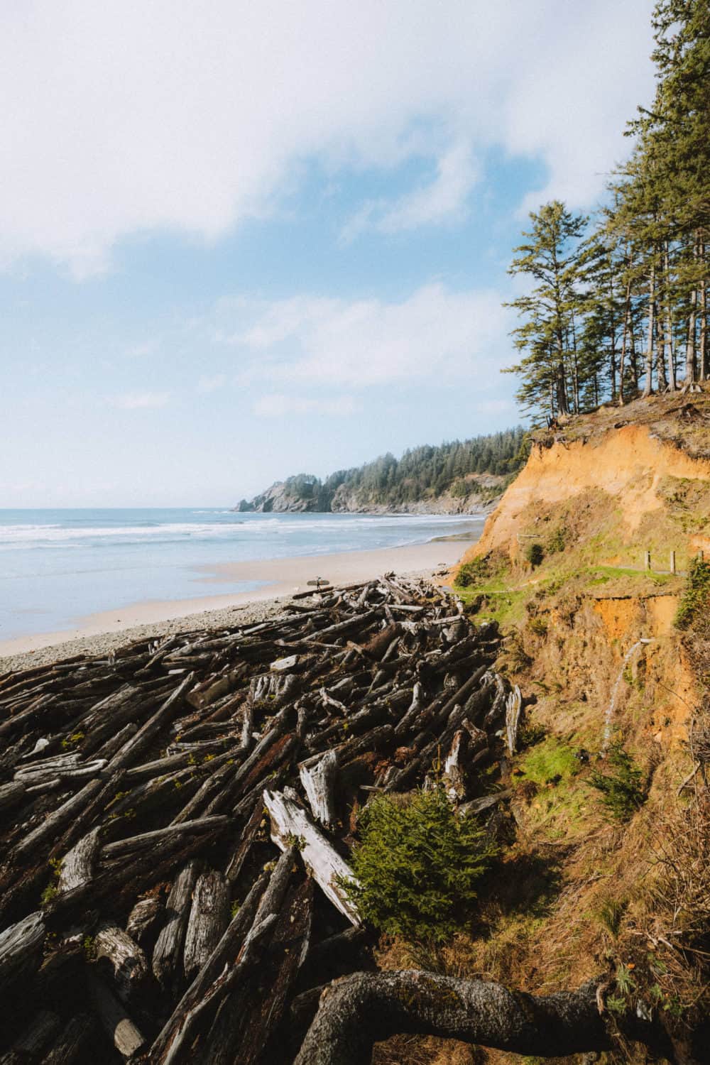 Short Sands Beach at Oswald West State Park