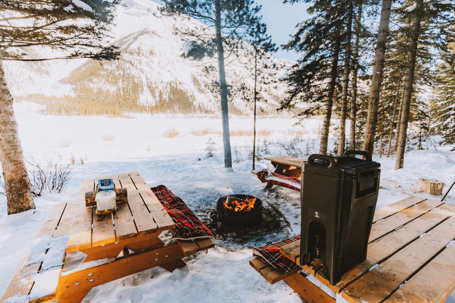 Hot cocoa afterwards with Snowy Owl Tours in Banff