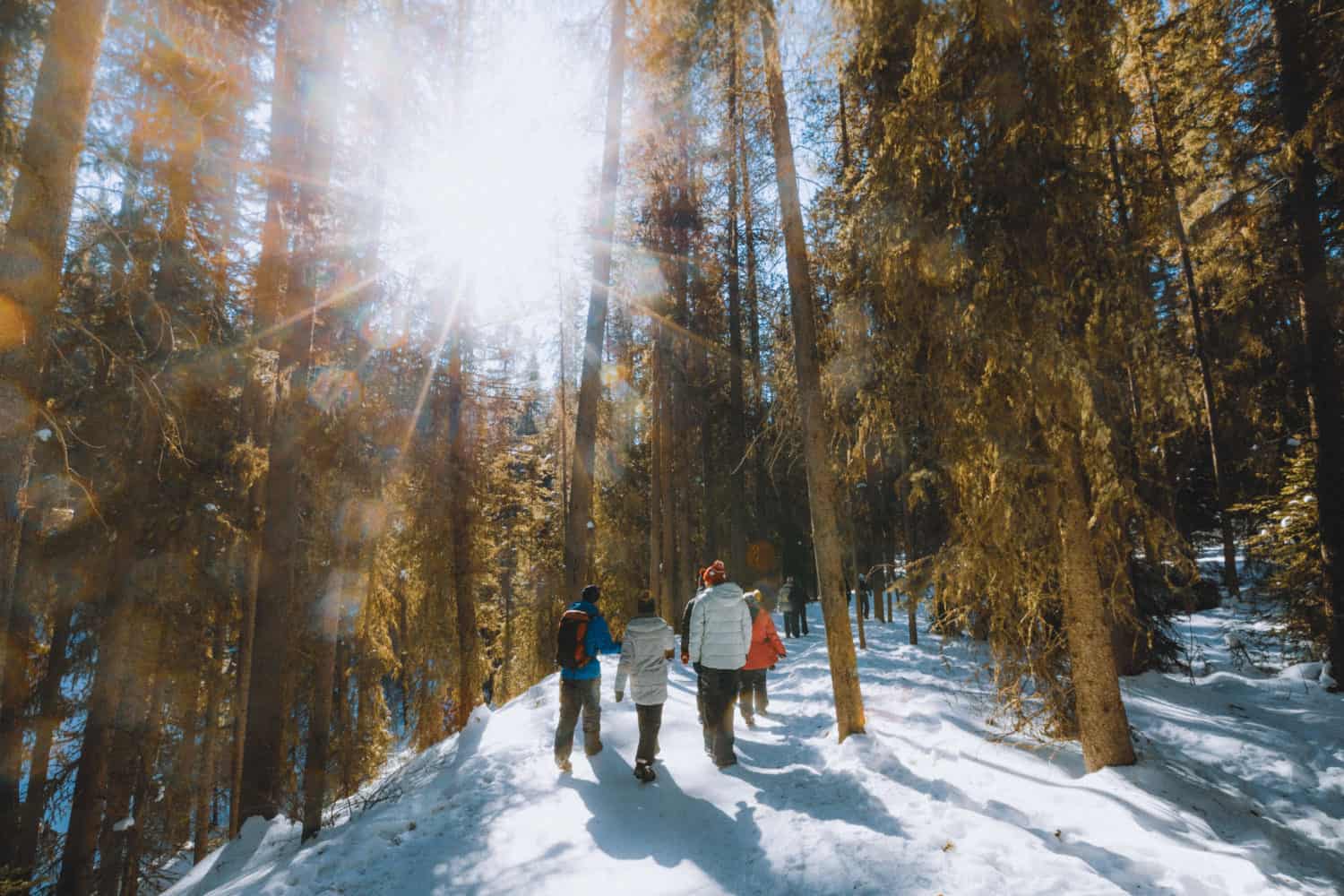 Hiking Johnston Canyon In Winter - Trail - TheMandagies.com