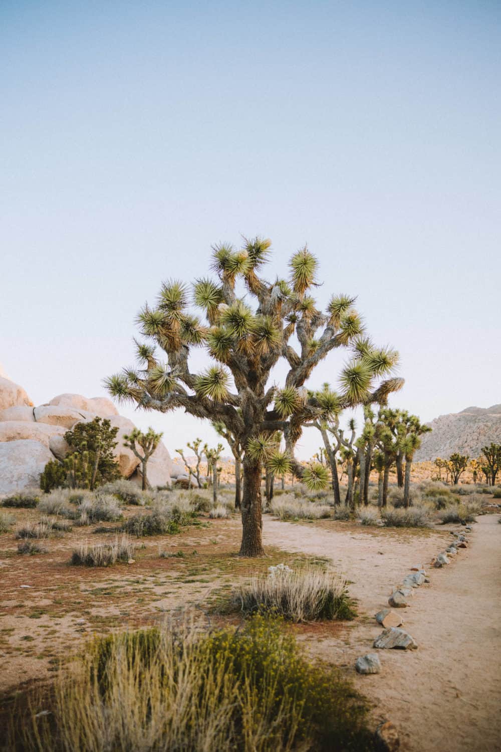 moon southern california road trips