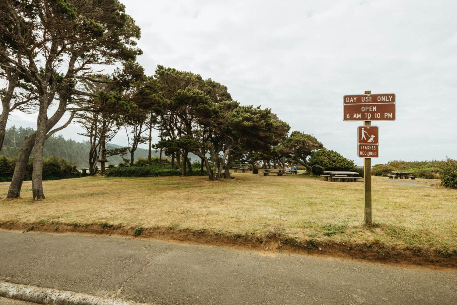 Picnic Area at Devil's Punchbowl Oregon