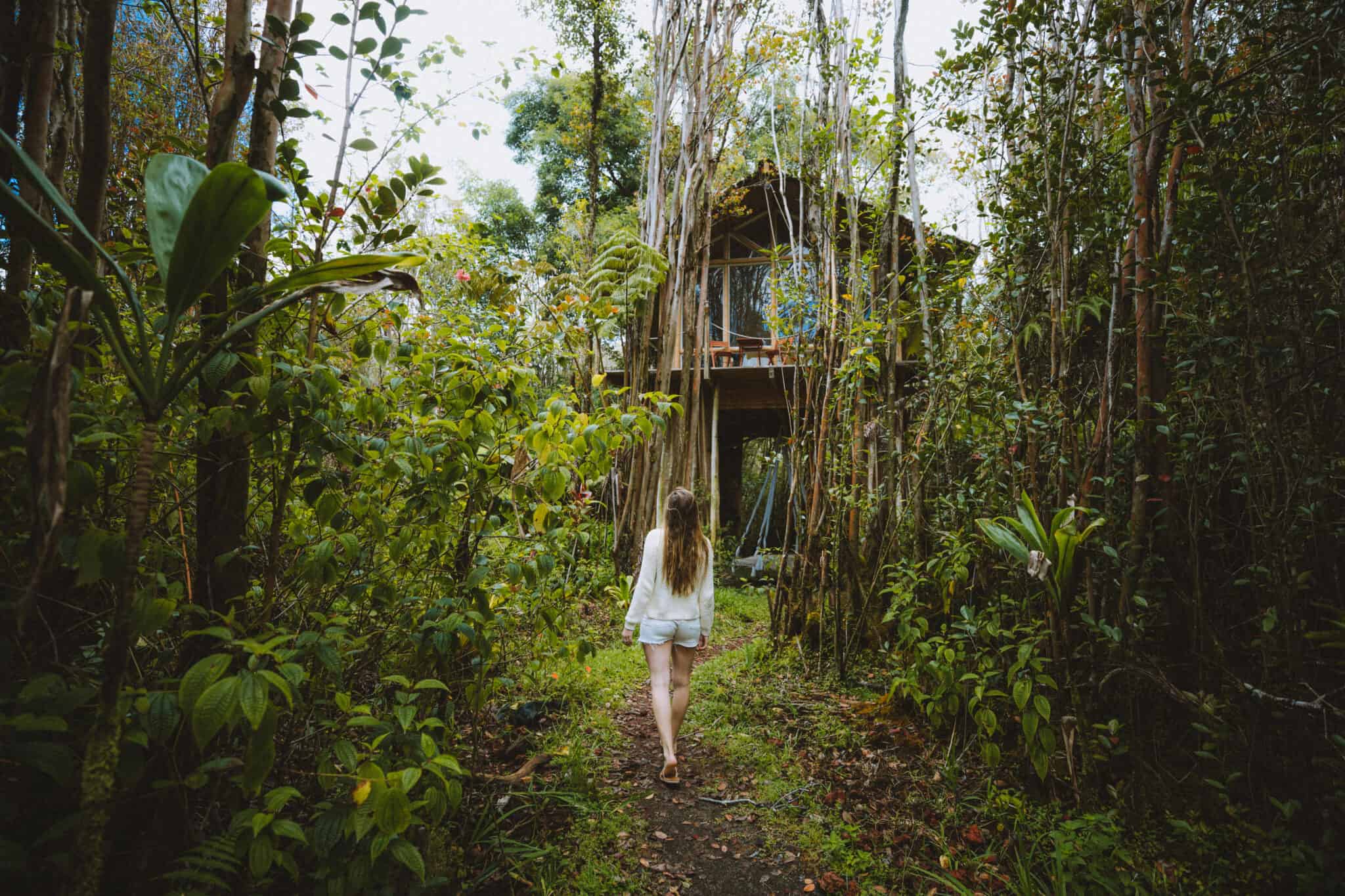 Wake Up In A Tropical Treehouse In Hawaii: The Best Airbnb In Hawaii